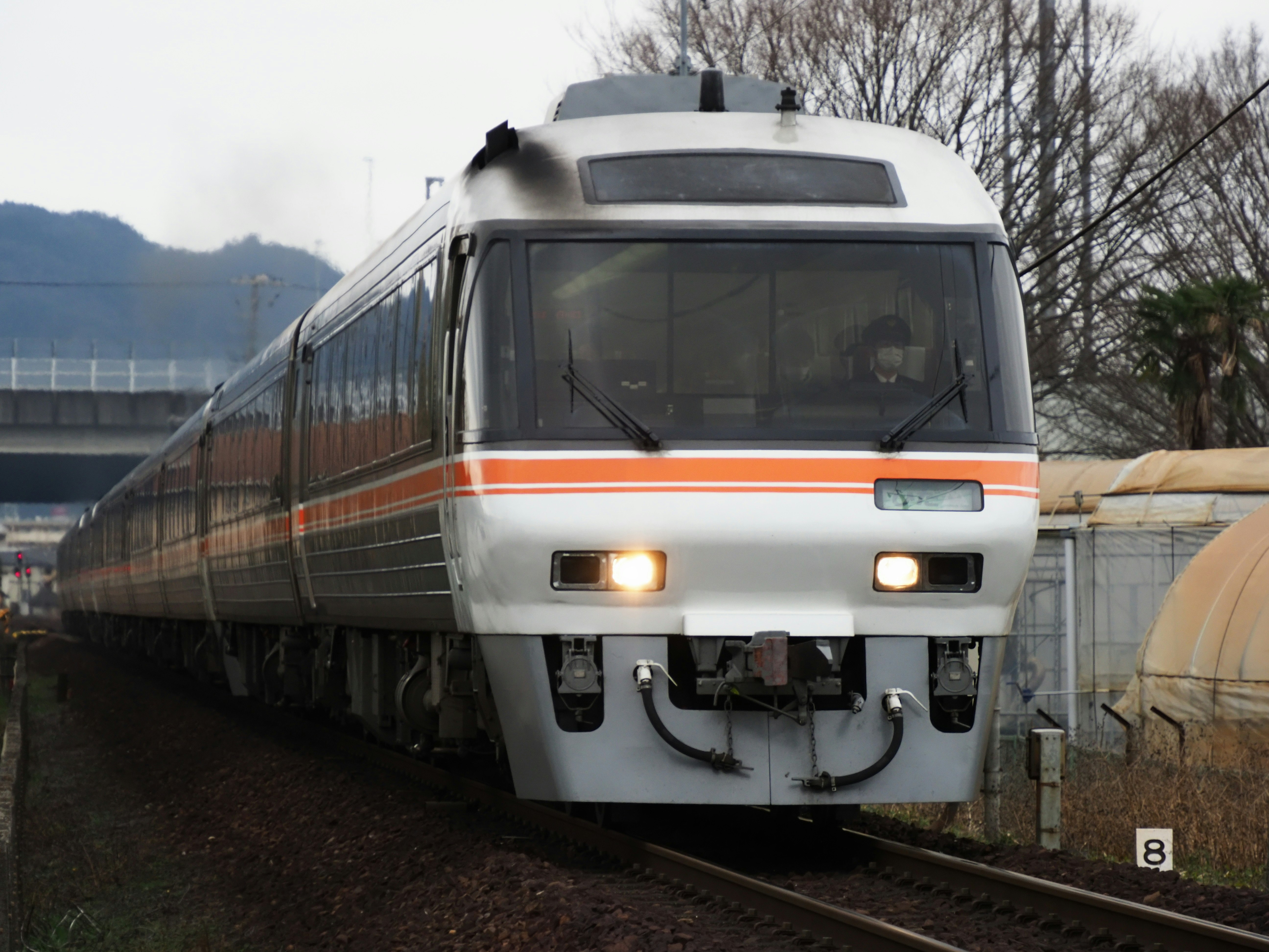 岐阜県の高山本線を走るキハ85系特急ひだの気動車