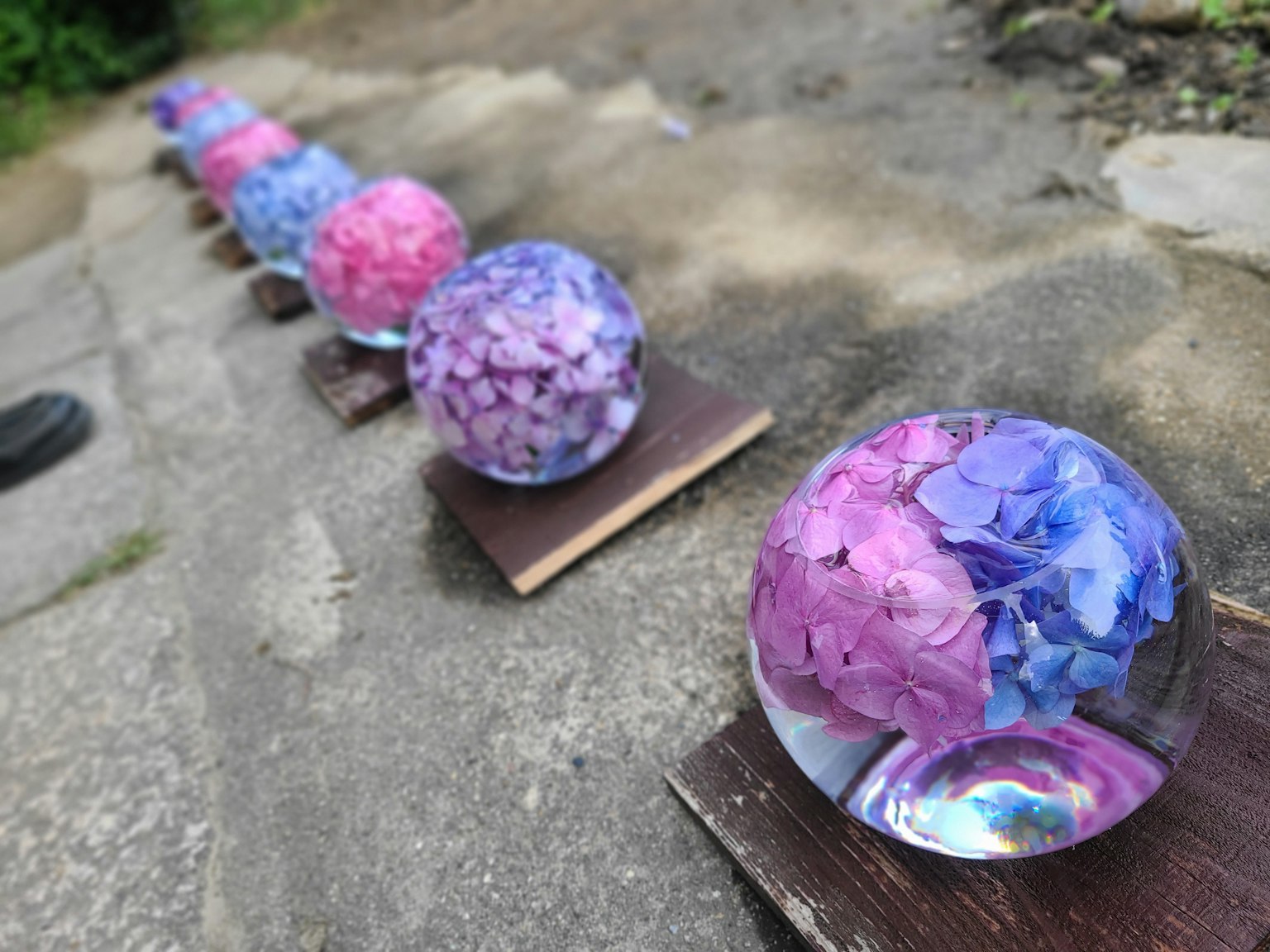 Cầu nhiều màu chứa cánh hoa được sắp xếp thành hàng