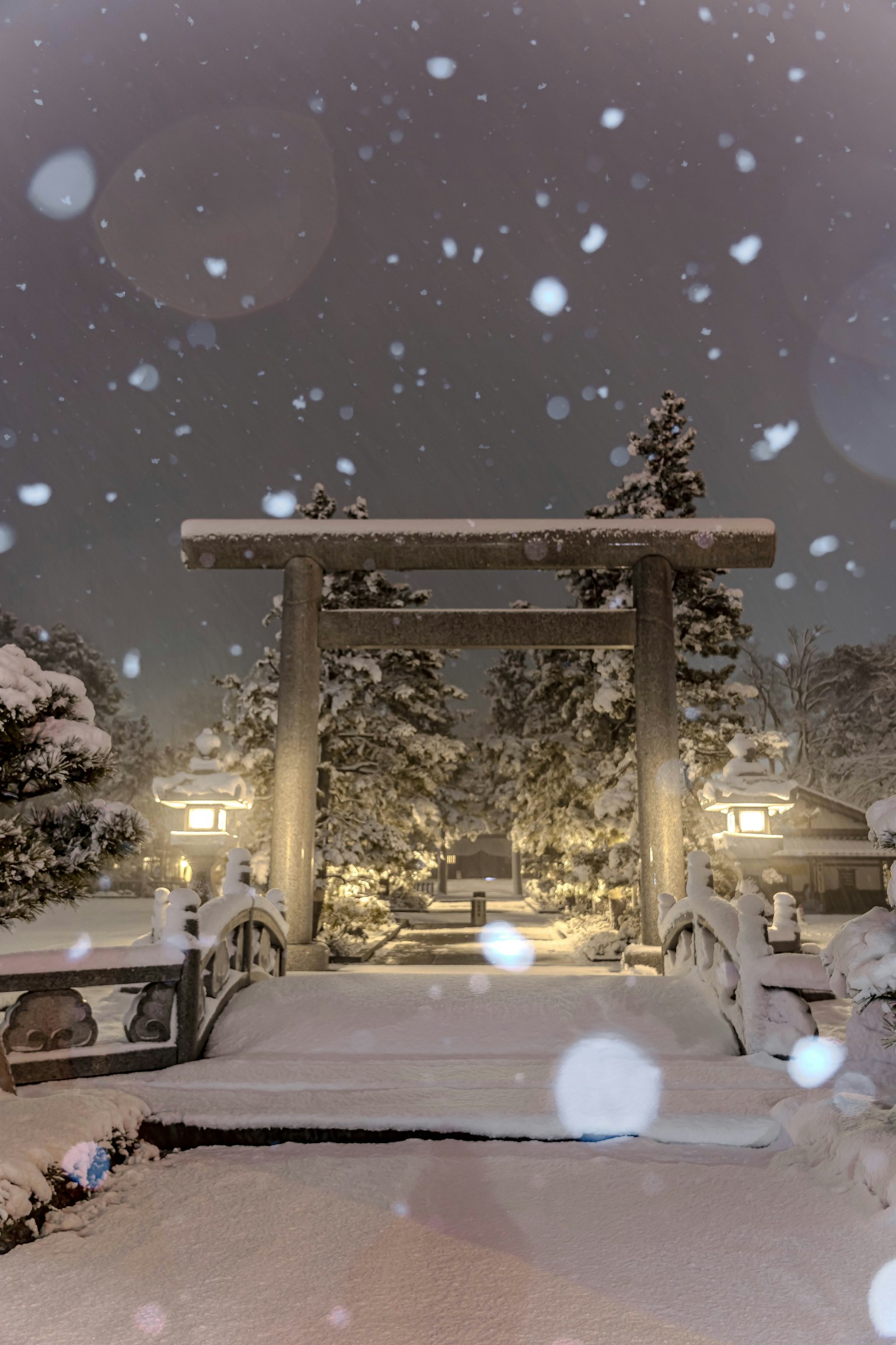 被雪覆蓋的鳥居和橋場景寧靜的夜晚與美麗的照明
