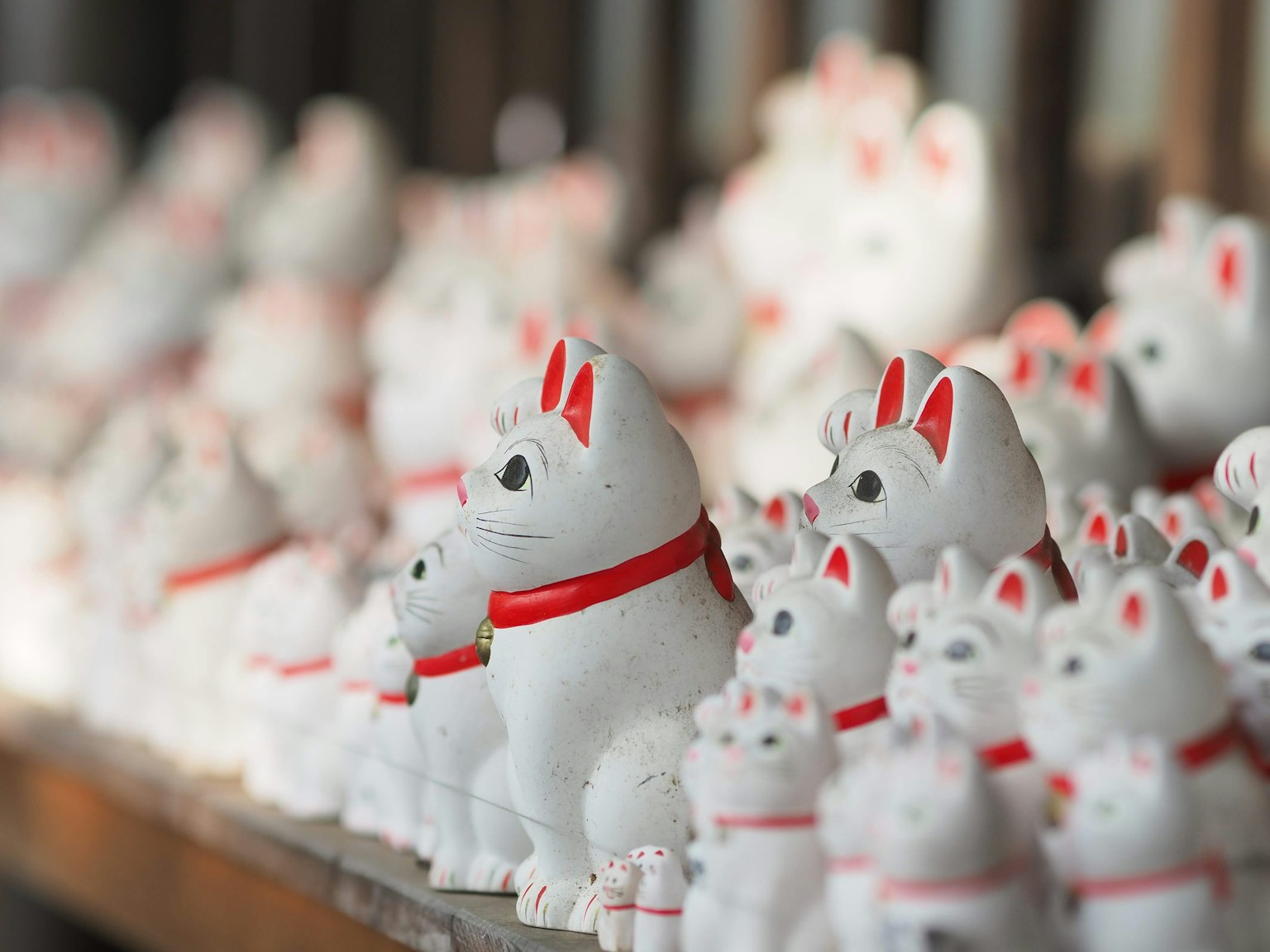 Pameran patung kucing putih dengan kalung merah