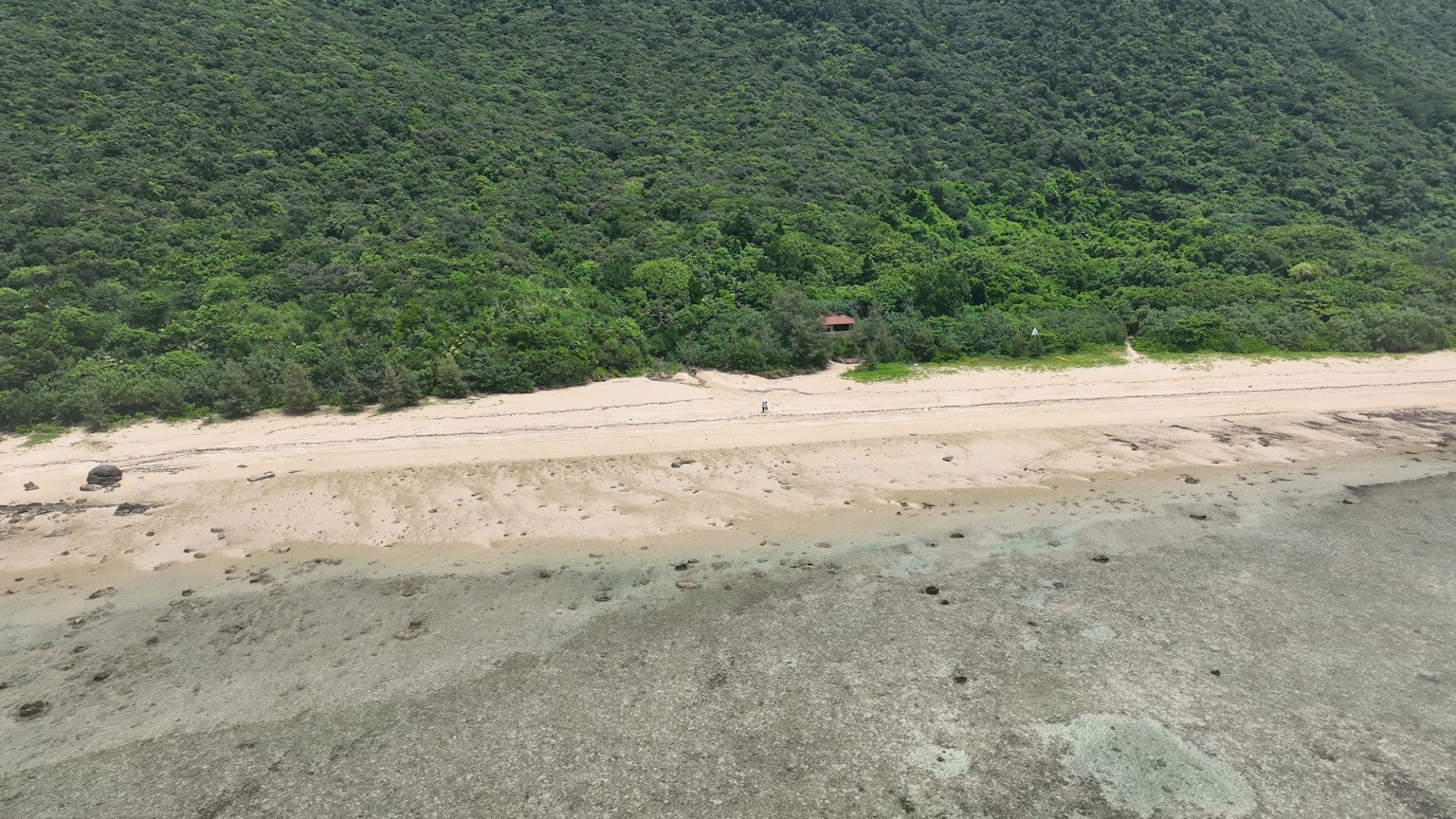 Luftaufnahme eines Küstengebiets mit grünen Bergen und Sandstrand