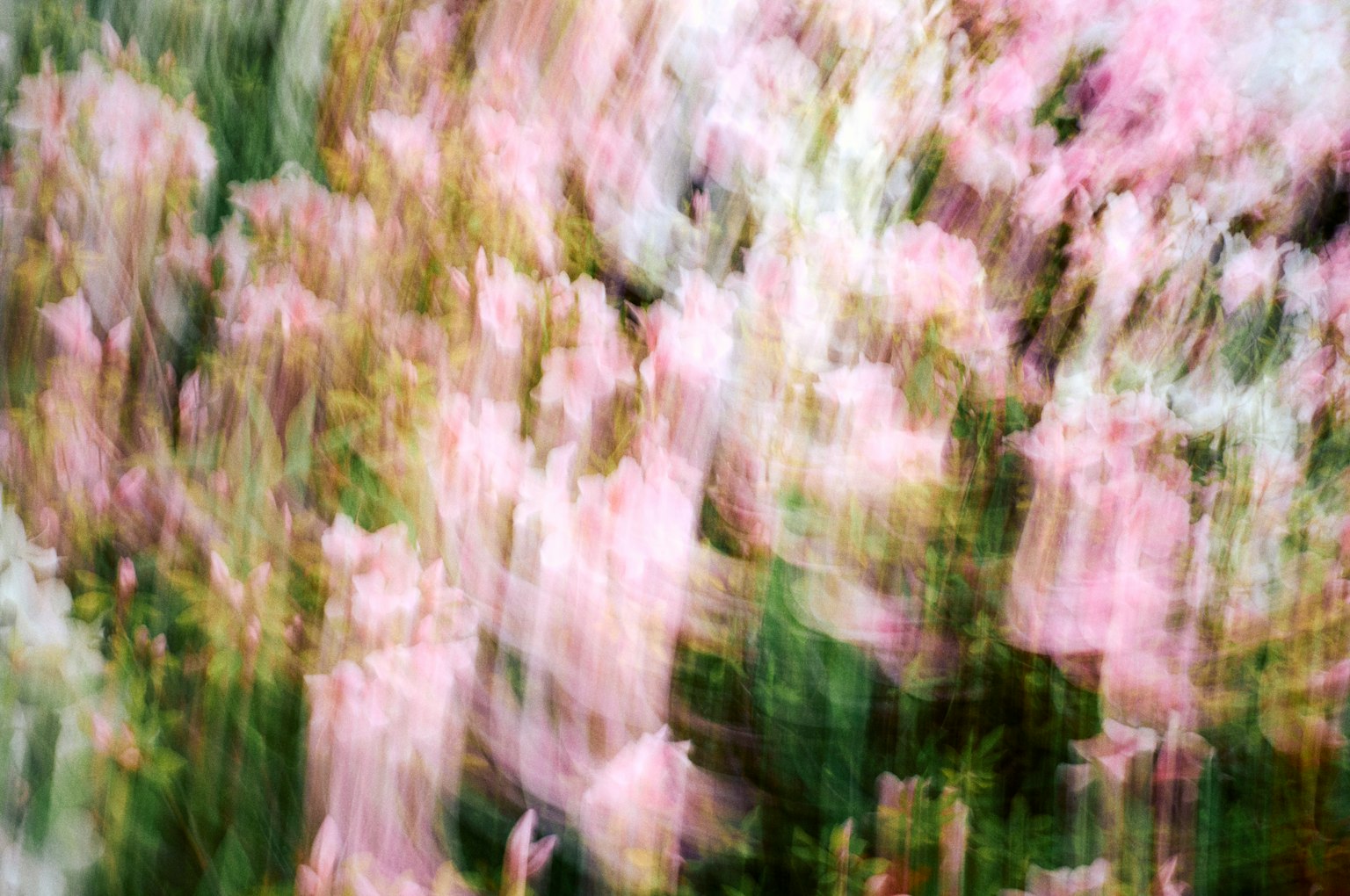 photo-UWTpIa3Ku8qWShL4Redd-image