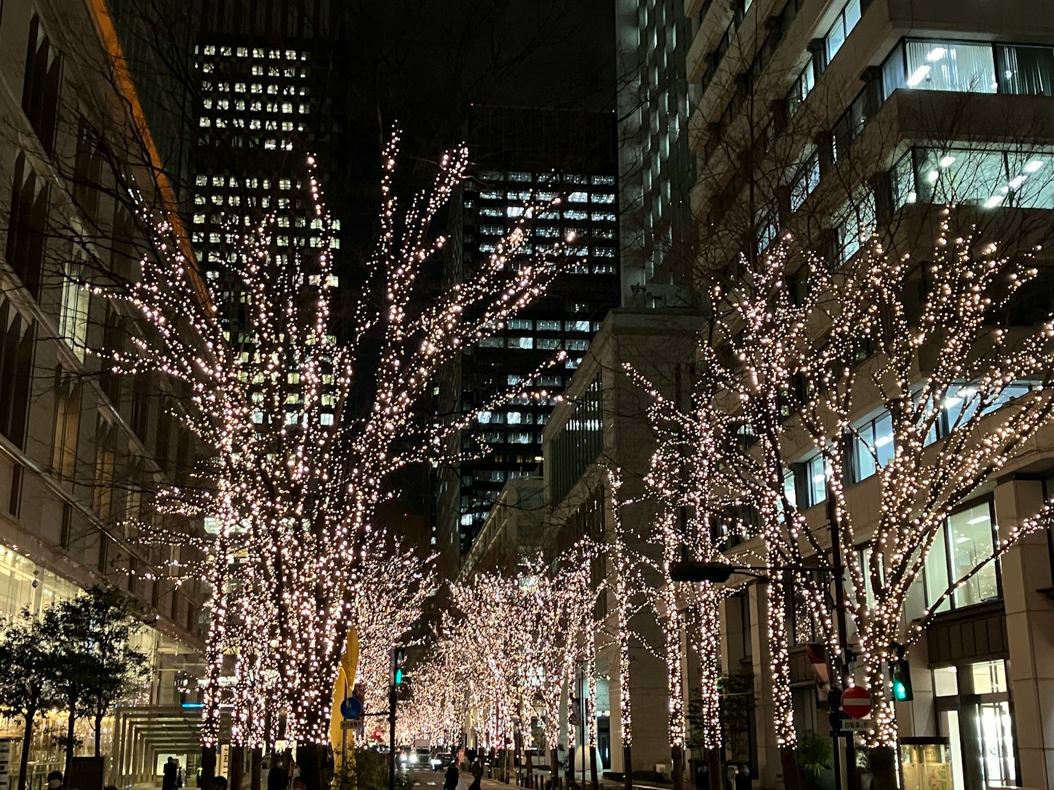 ต้นไม้ส่องสว่างตามถนนในเมืองตอนกลางคืน