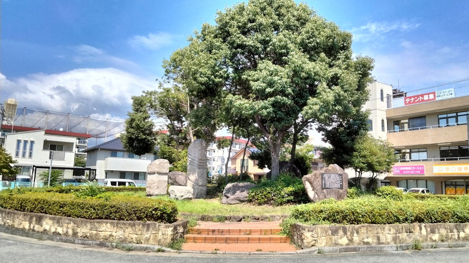 Eine malerische Ansicht mit einem großen Baum und Steinen in einem Park