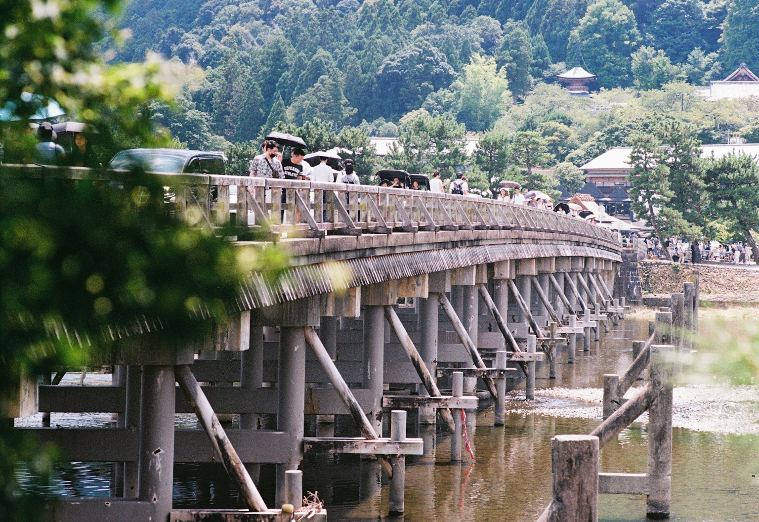 Holzbrücke, die ein Gewässer überquert, umgeben von üppigem Grün