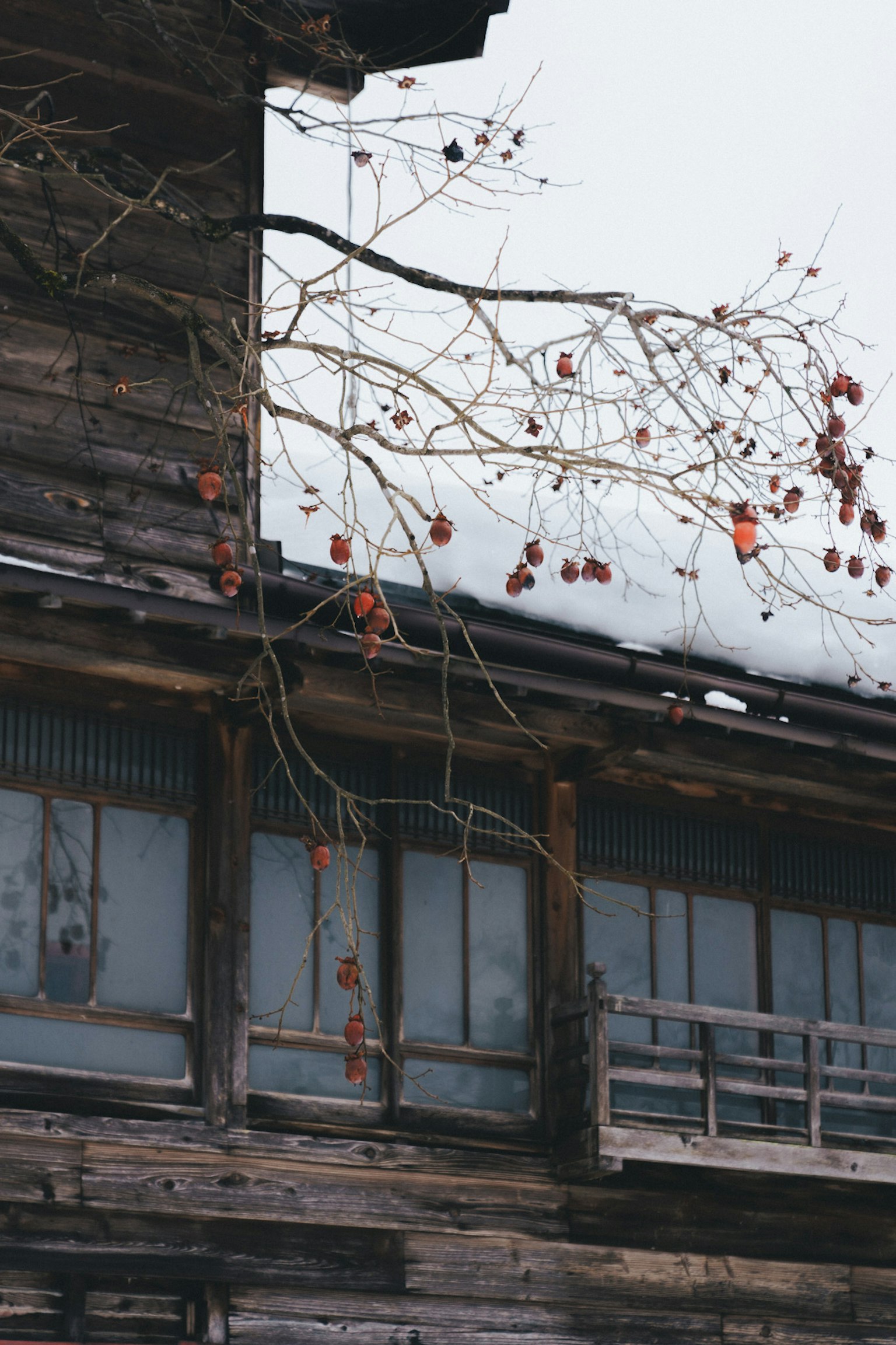 Toit d'une vieille maison en bois avec des branches portant des fruits