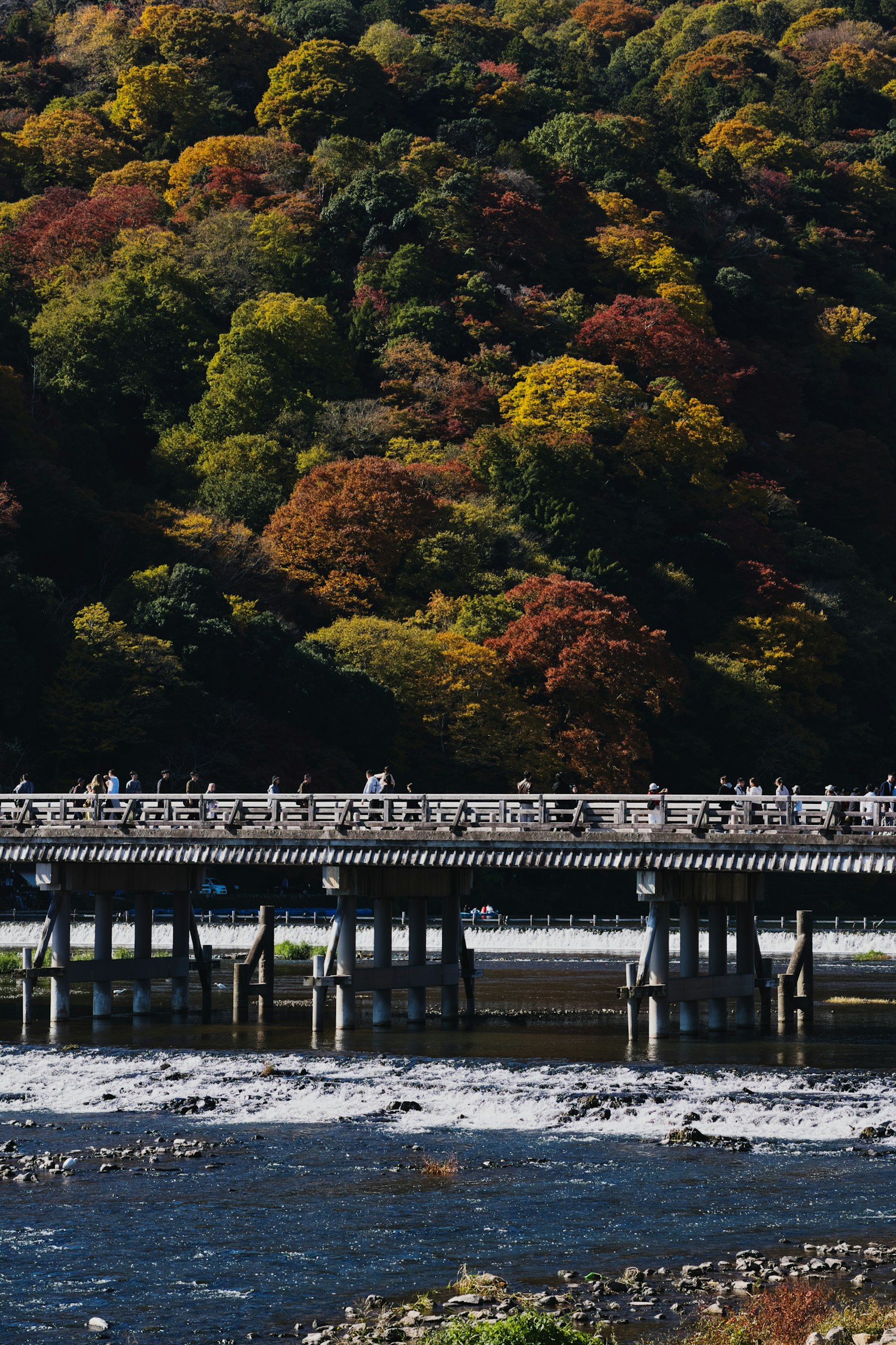 A scenic view of a bridge surrounded by colorful autumn foliage and a flowing river