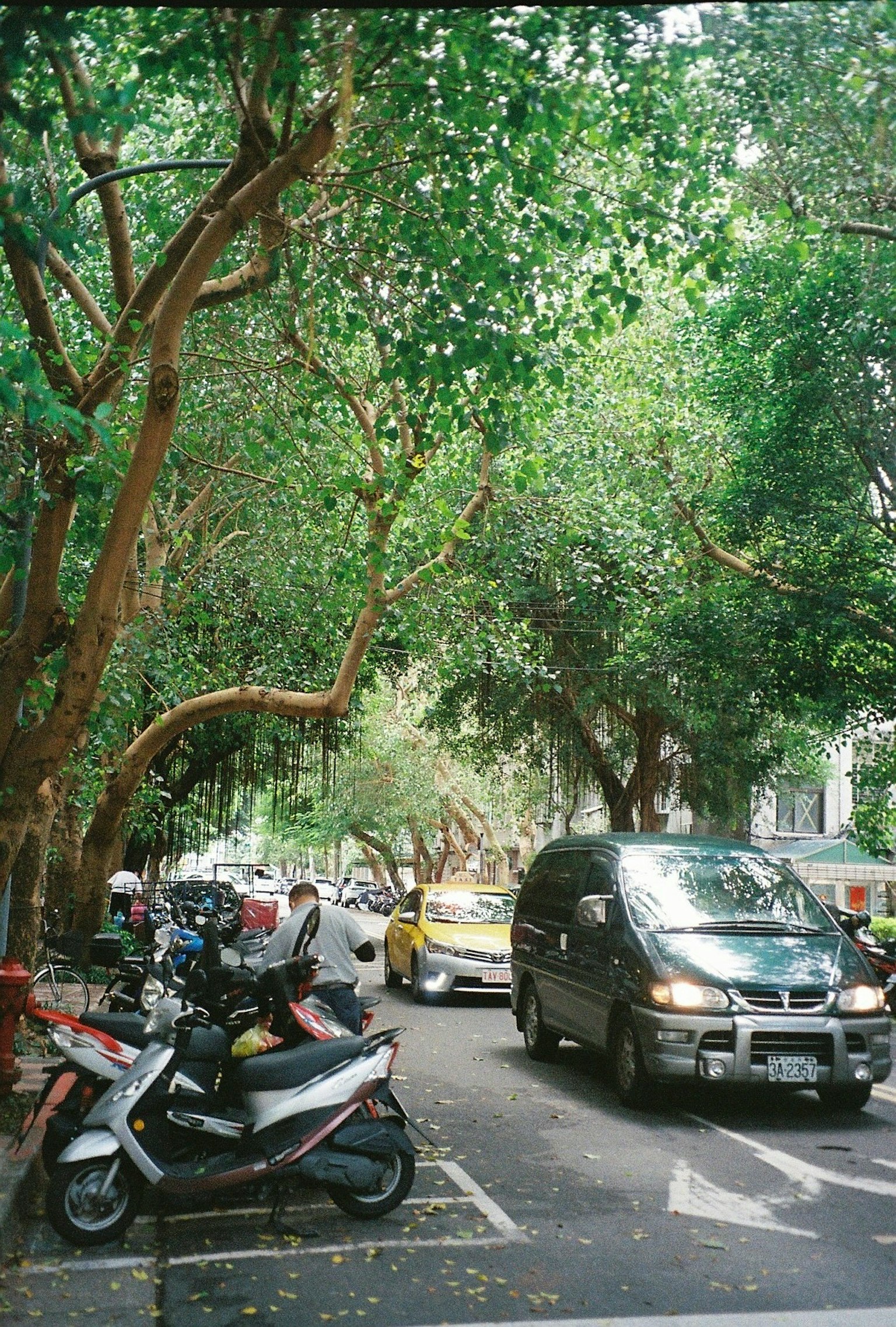 Strada fiancheggiata da alberi verdi con scooter parcheggiati e veicoli in movimento