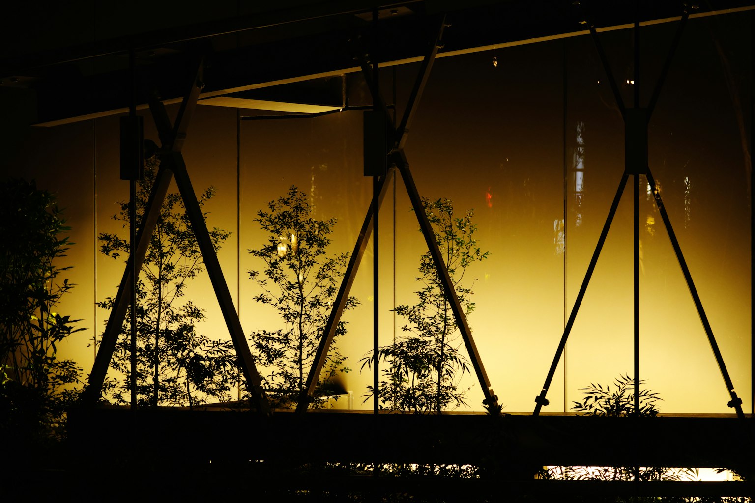 夜景中植物和玻璃反射
