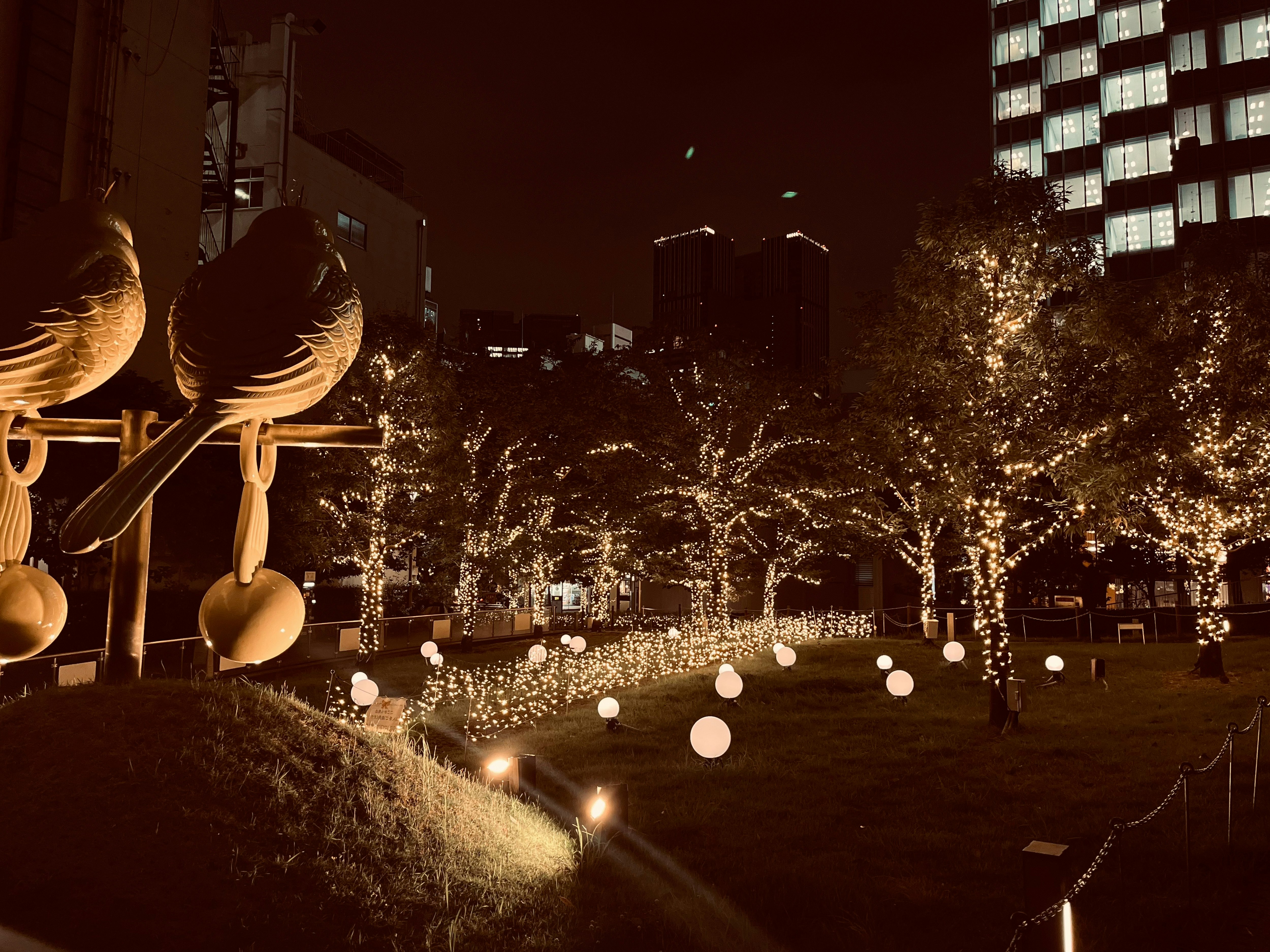 illuminated park lights and glowing trees at night