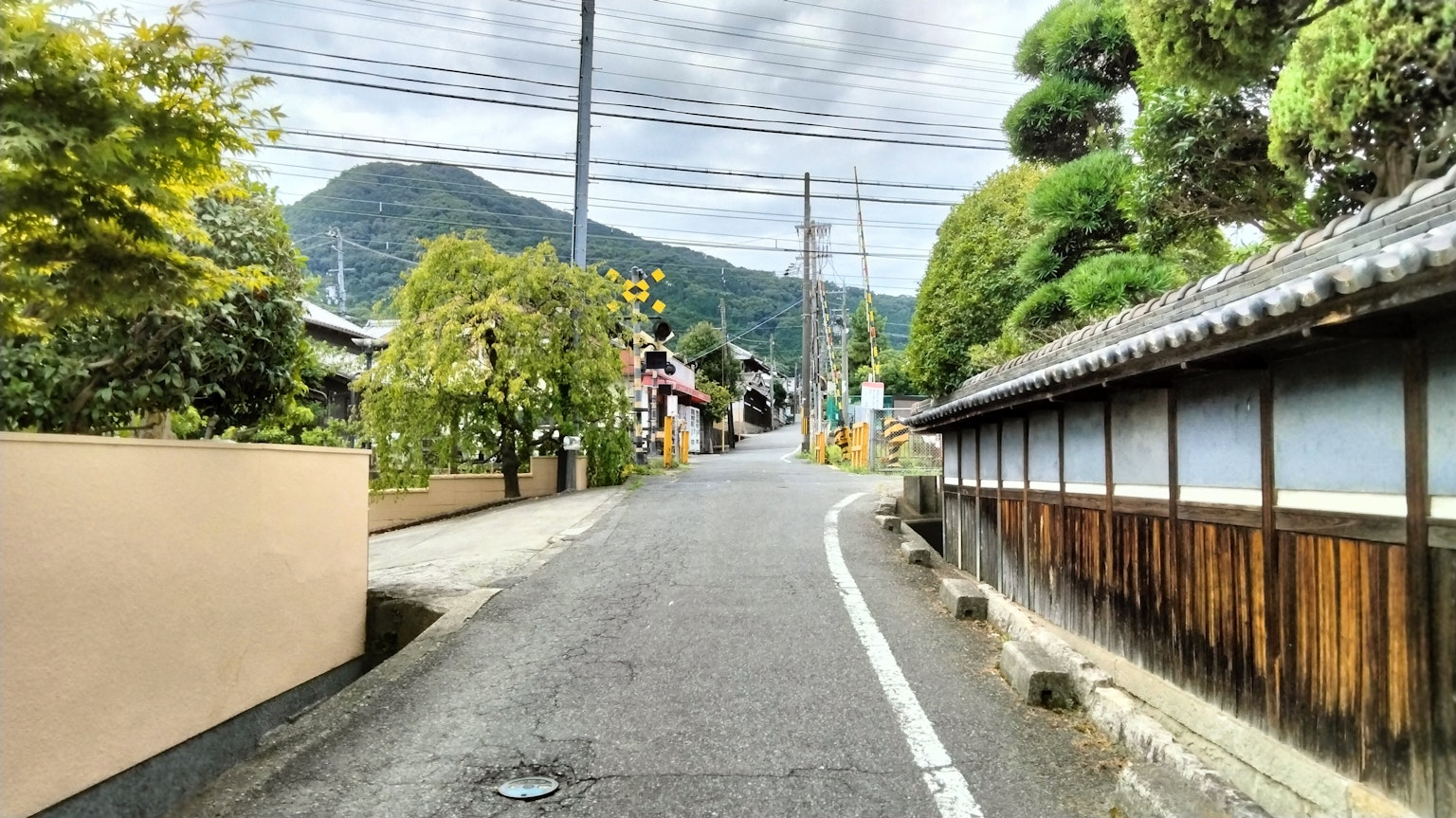 Calle residencial japonesa tranquila con vegetación exuberante y montañas al fondo