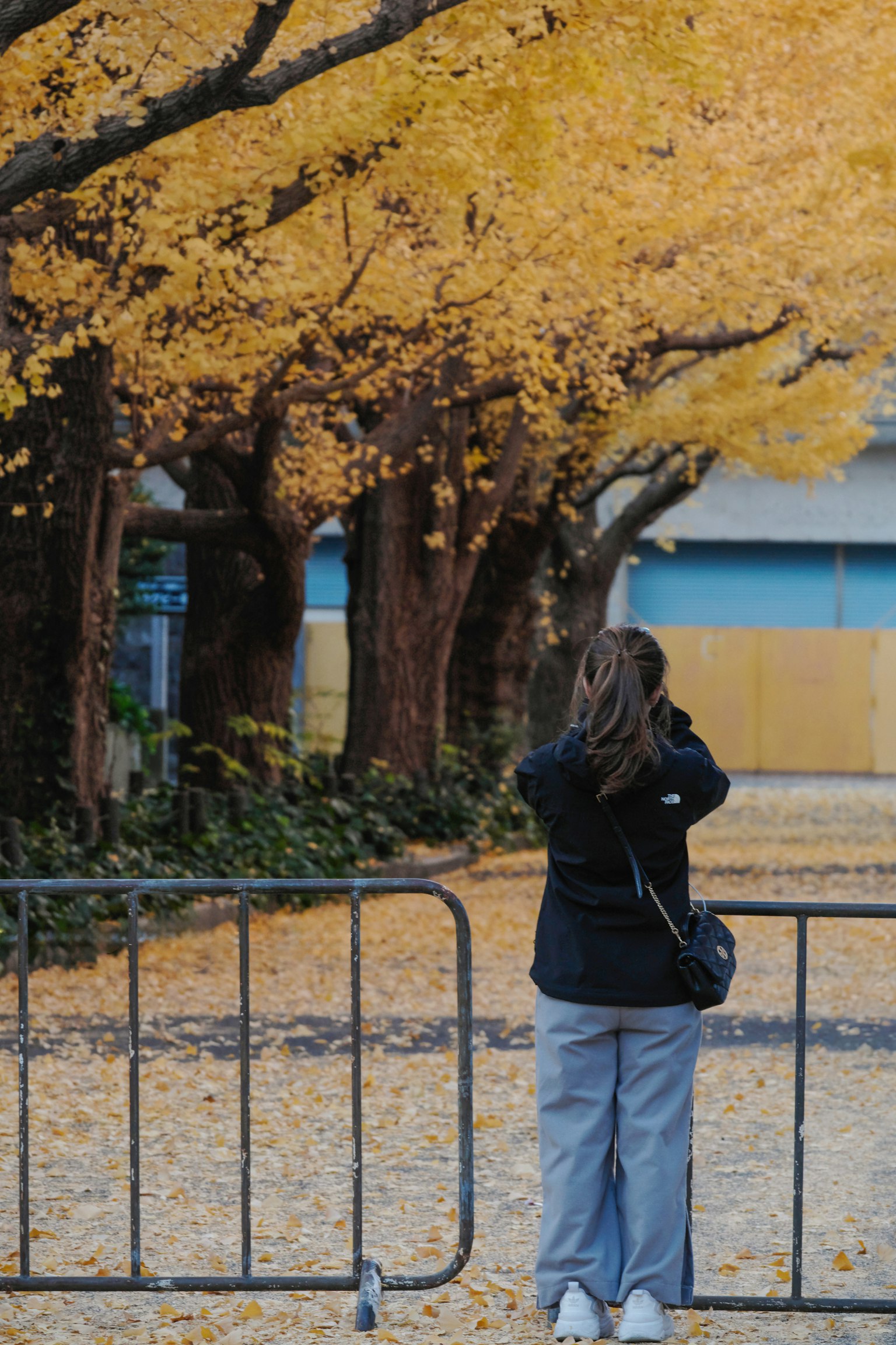 Donna che scatta una foto davanti a alberi con foglie gialle