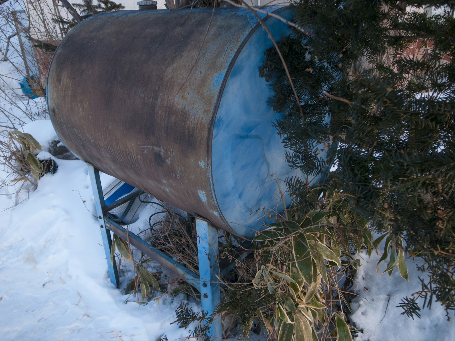雪中被植物包圍的藍色框架上的金屬桶