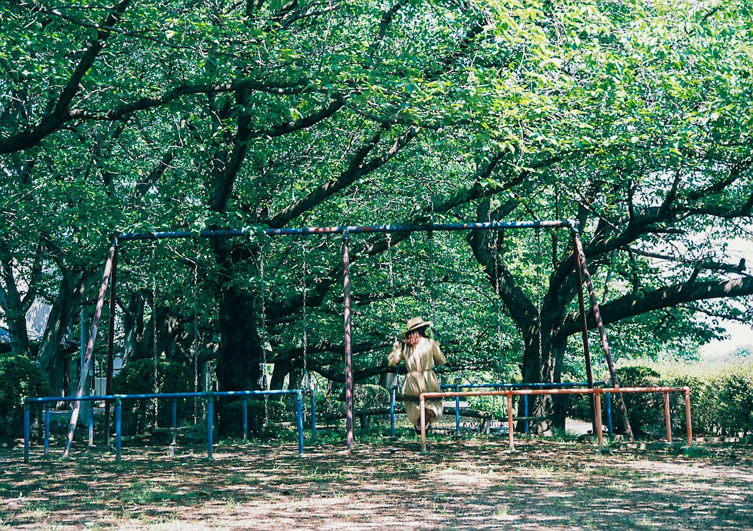 A park scene with swings under lush green trees