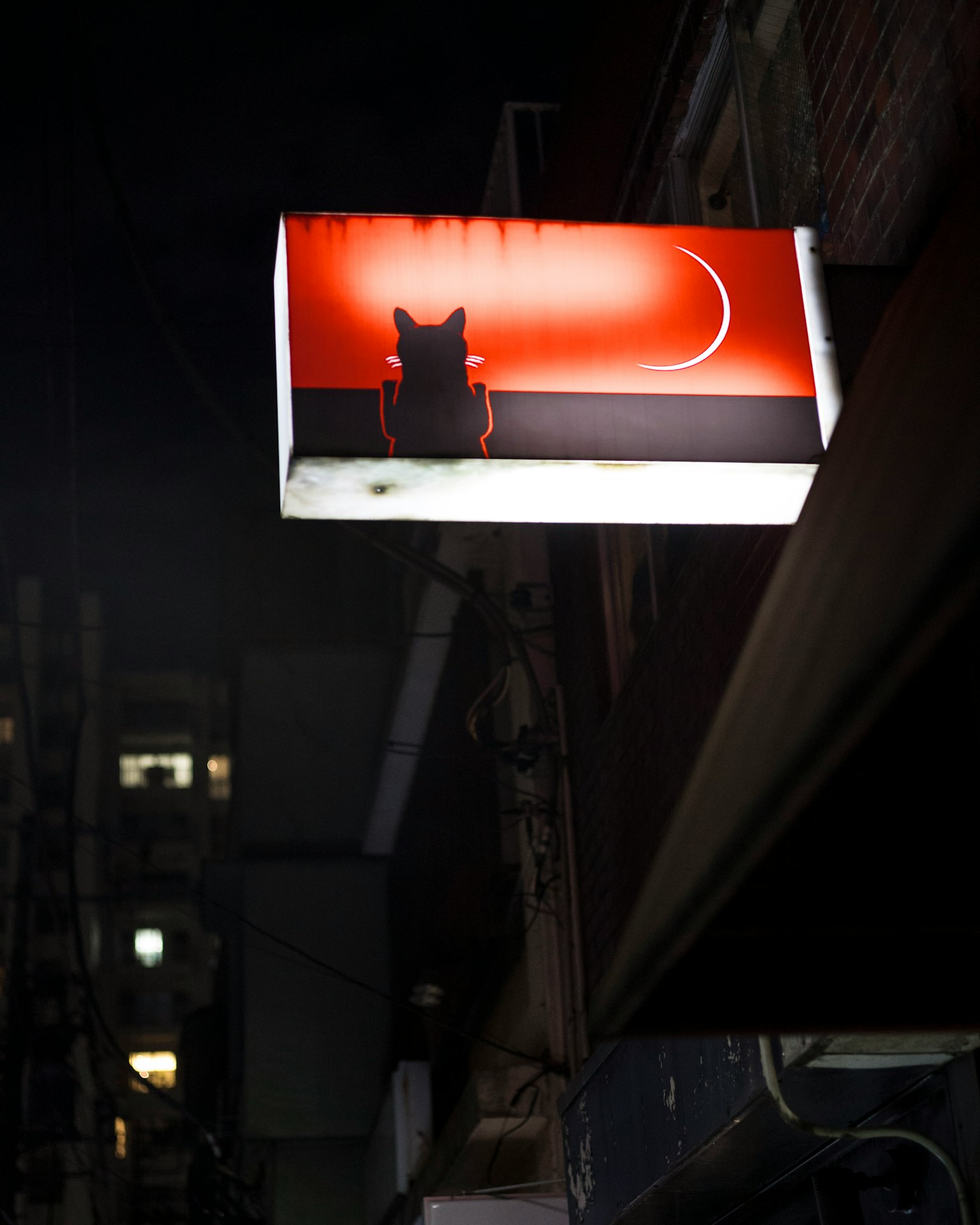 夜の街に浮かぶ猫のシルエットと赤い背景の看板