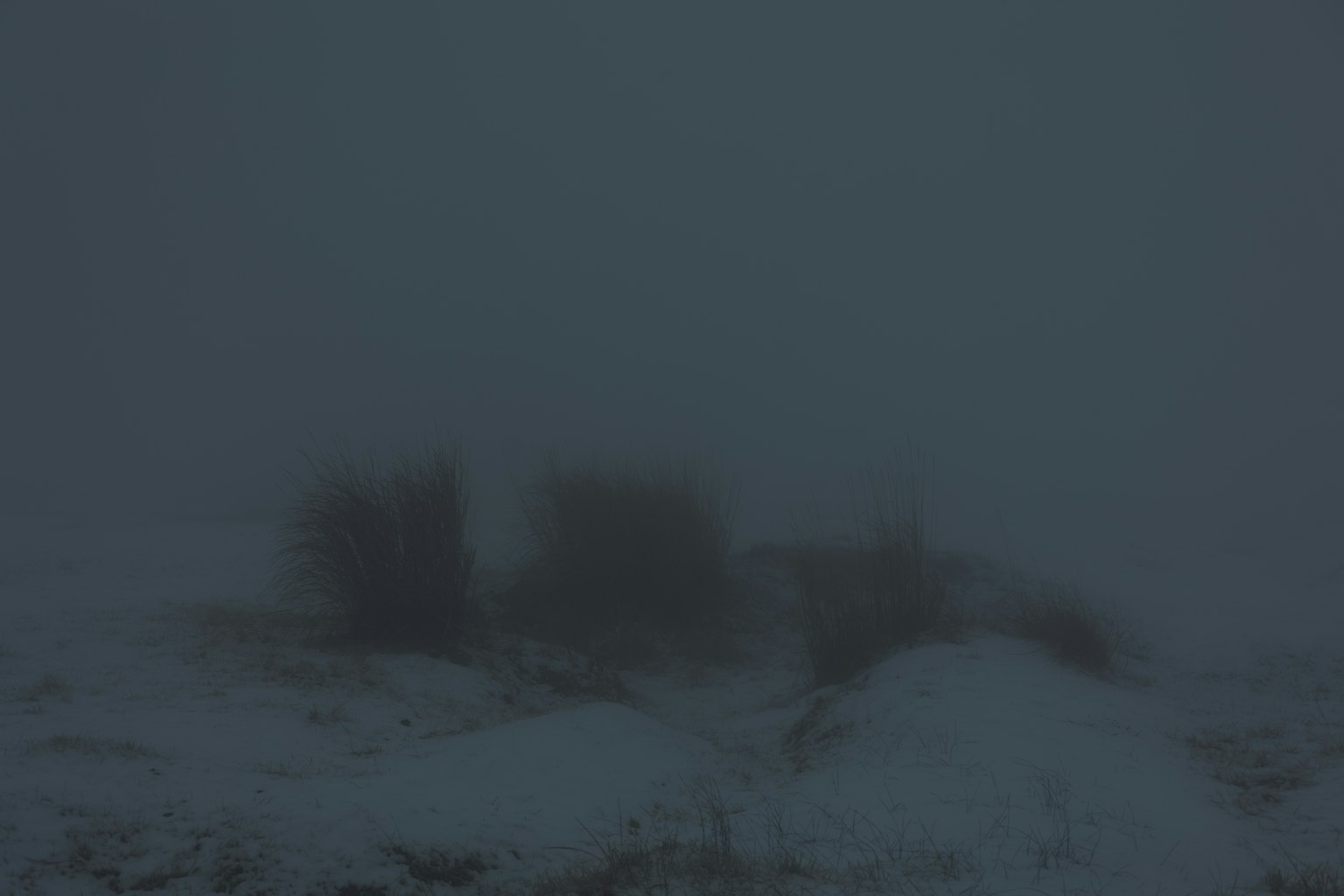 Forme sfocate in un paesaggio innevato avvolto nella nebbia