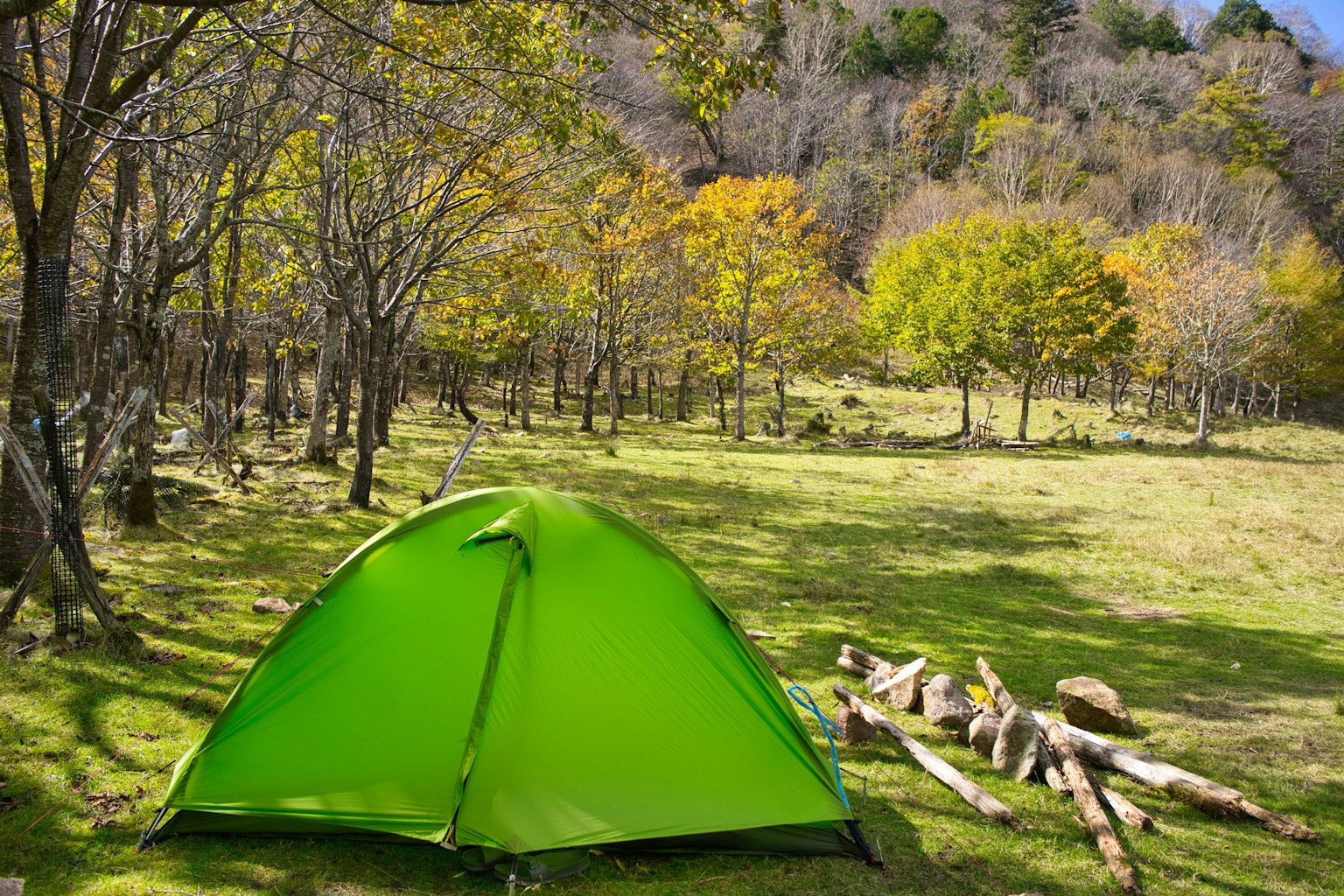 Tenda verde in un campeggio naturale con tronchi