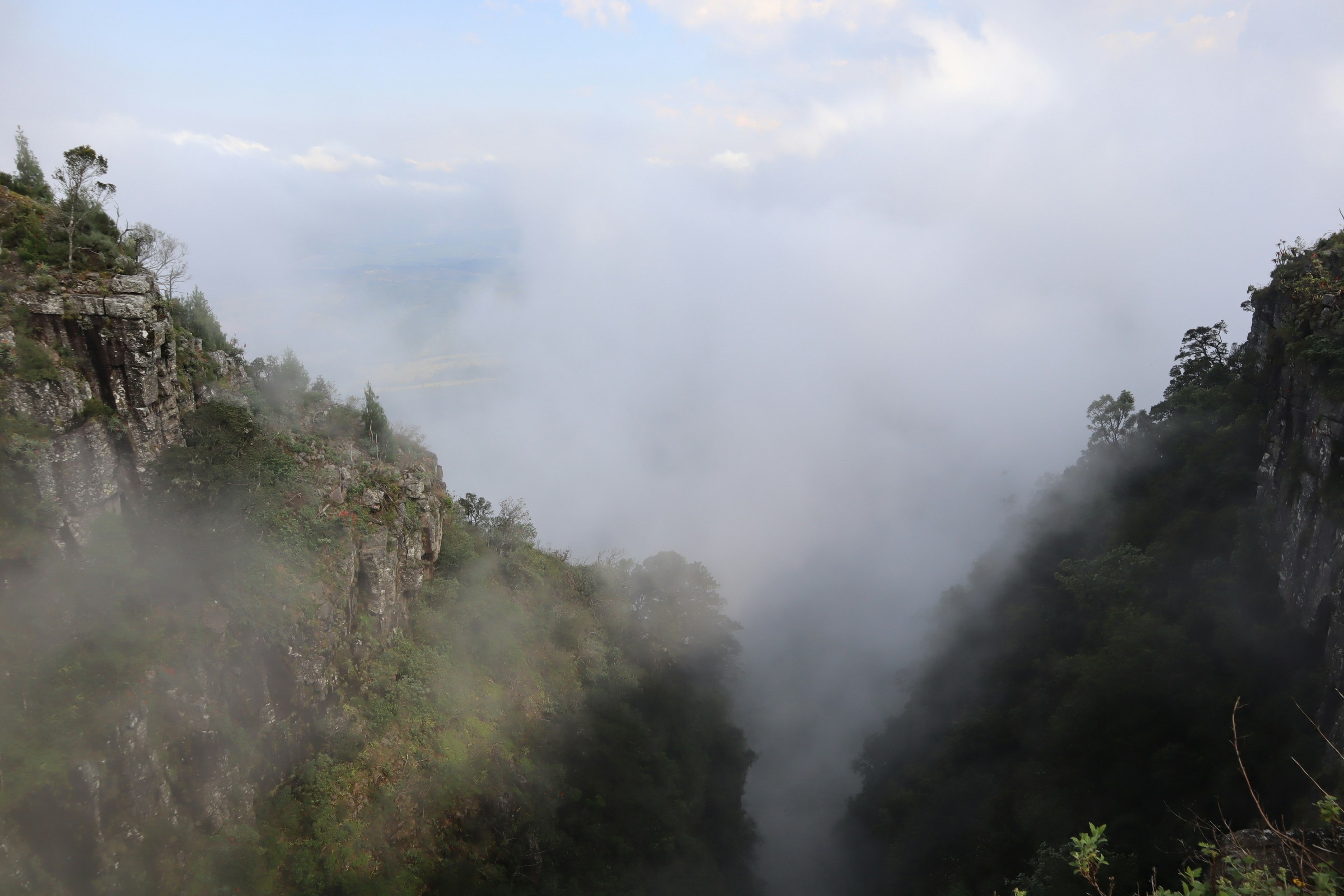 lembah pegunungan berkabut dengan hutan lebat