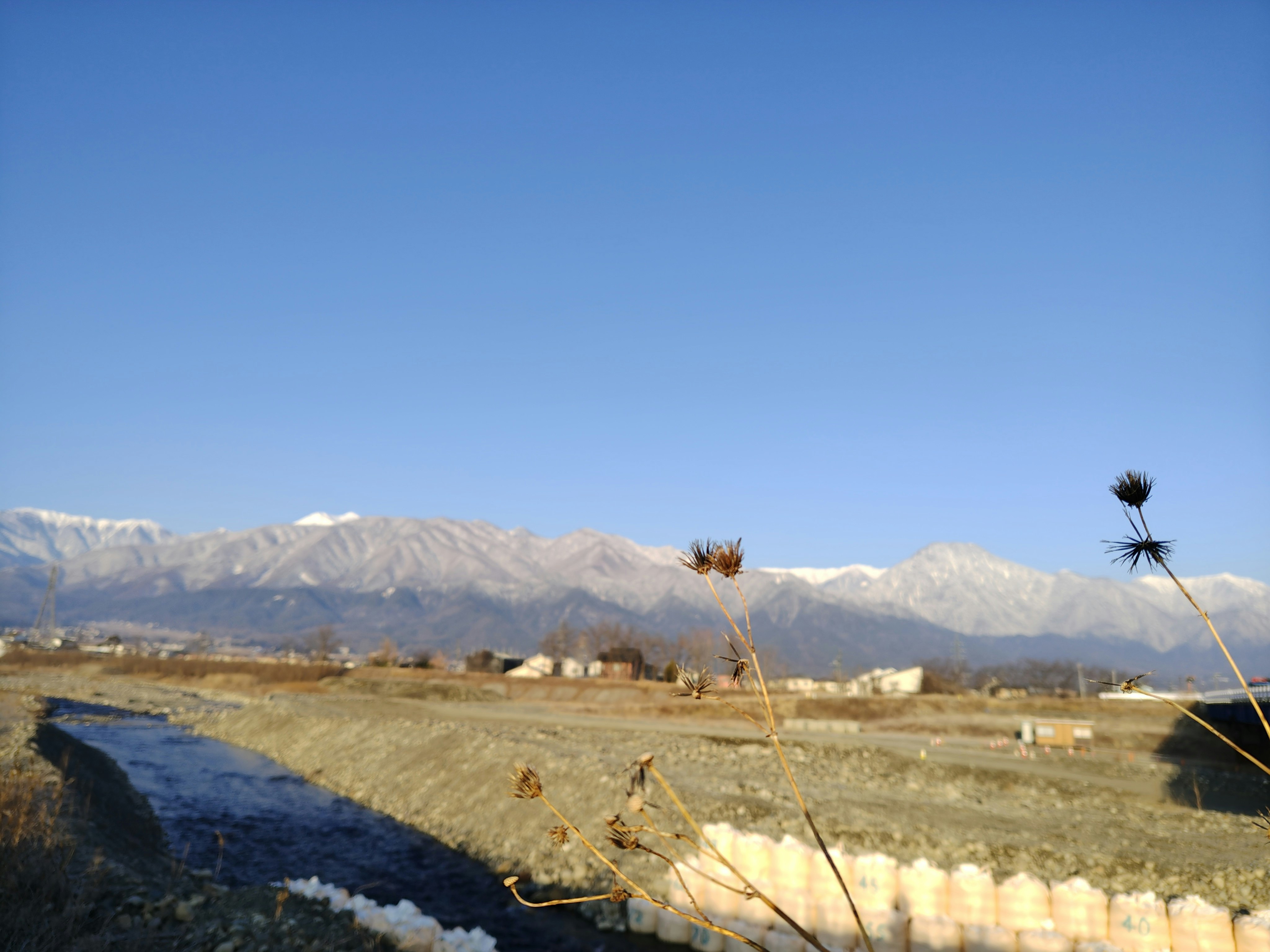 雪をかぶった山並みを望む草地の風景