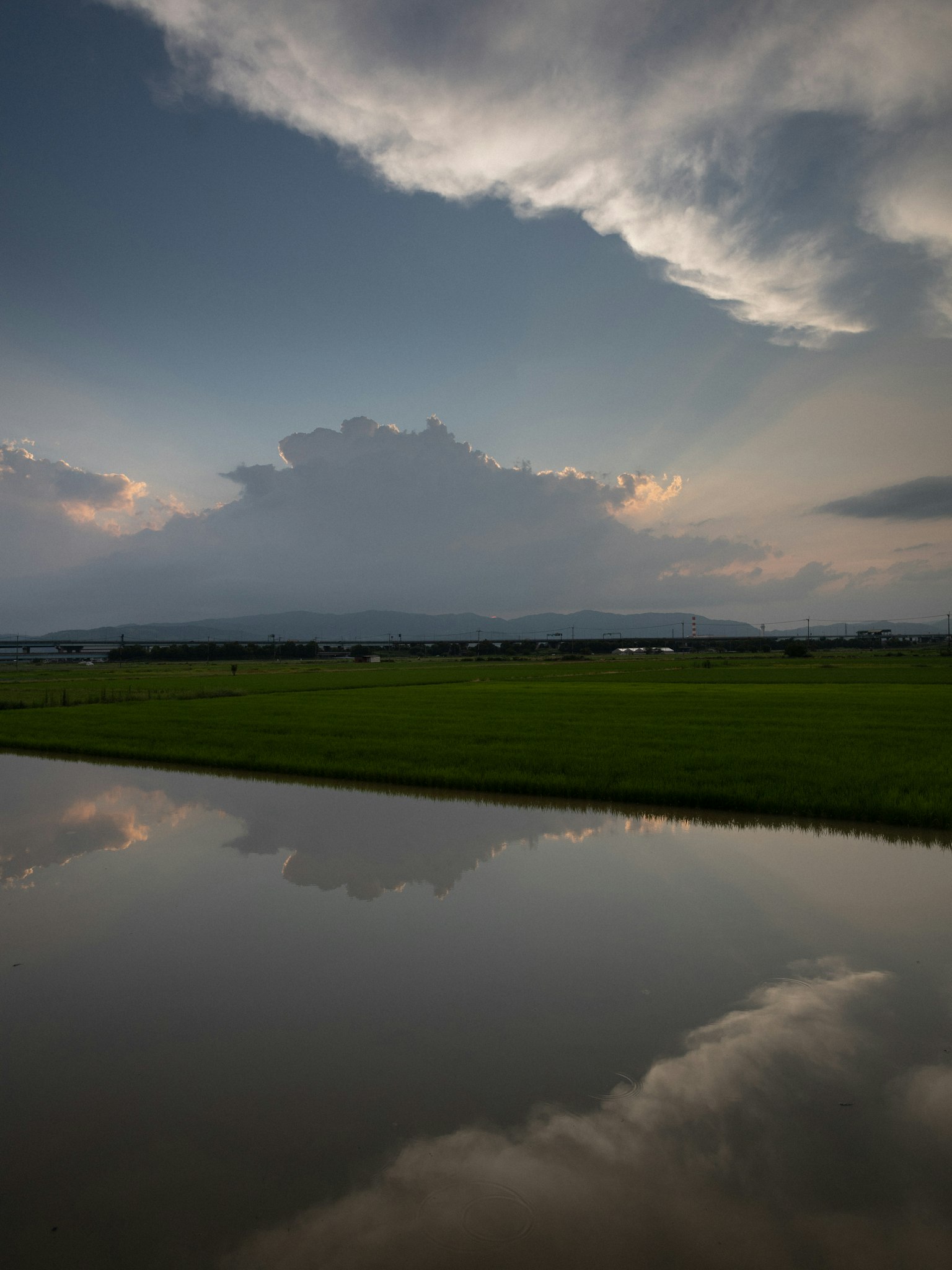 Paysage de rizières avec des reflets de nuages et du ciel