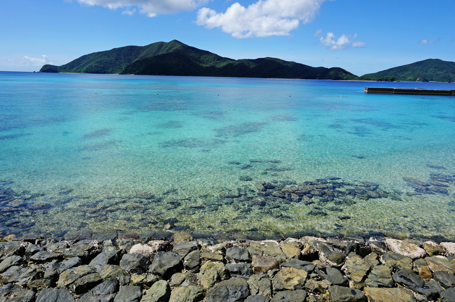 蓝色海洋和绿色山脉的风景