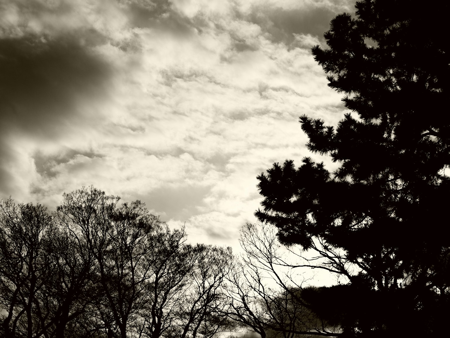photo-UfdKbR5kGCCtQyPX1Xqd-image