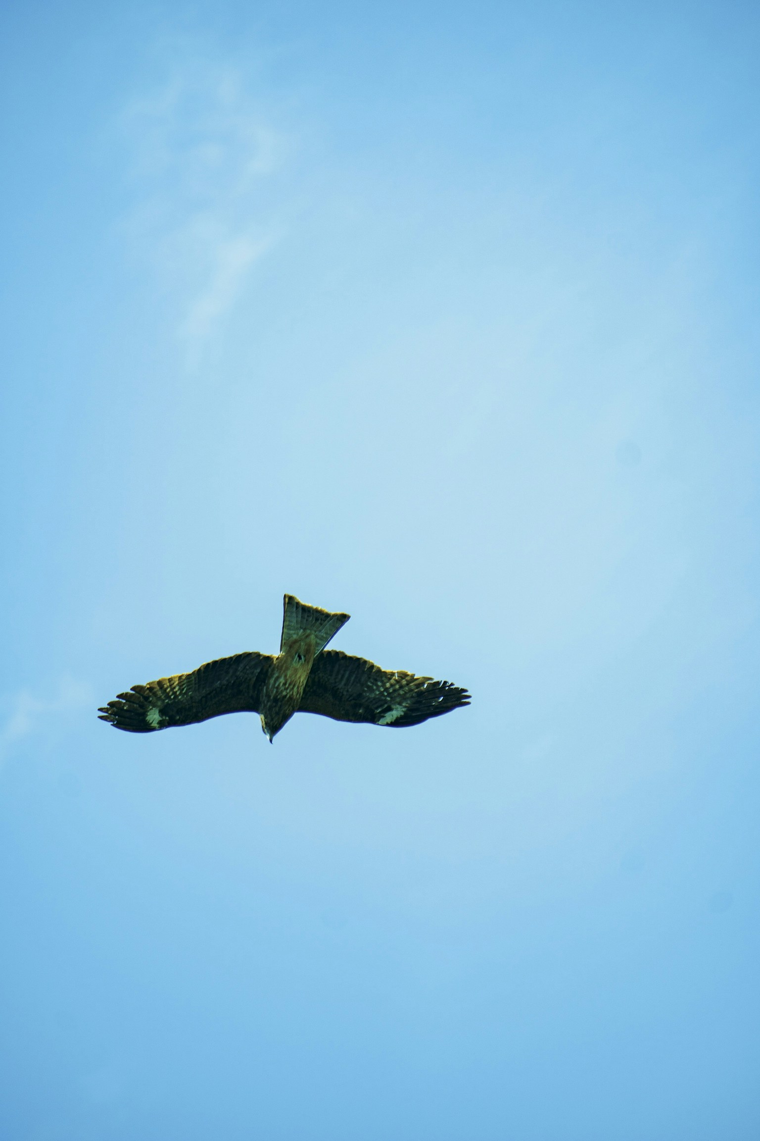 photo-UfucRnXcvzTBq20B9KQF-image