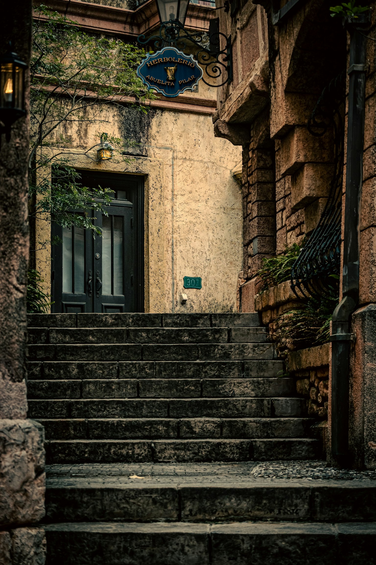 Stone staircase leading to an old building entrance Surrounded by greenery with a lamp fixture overhead
