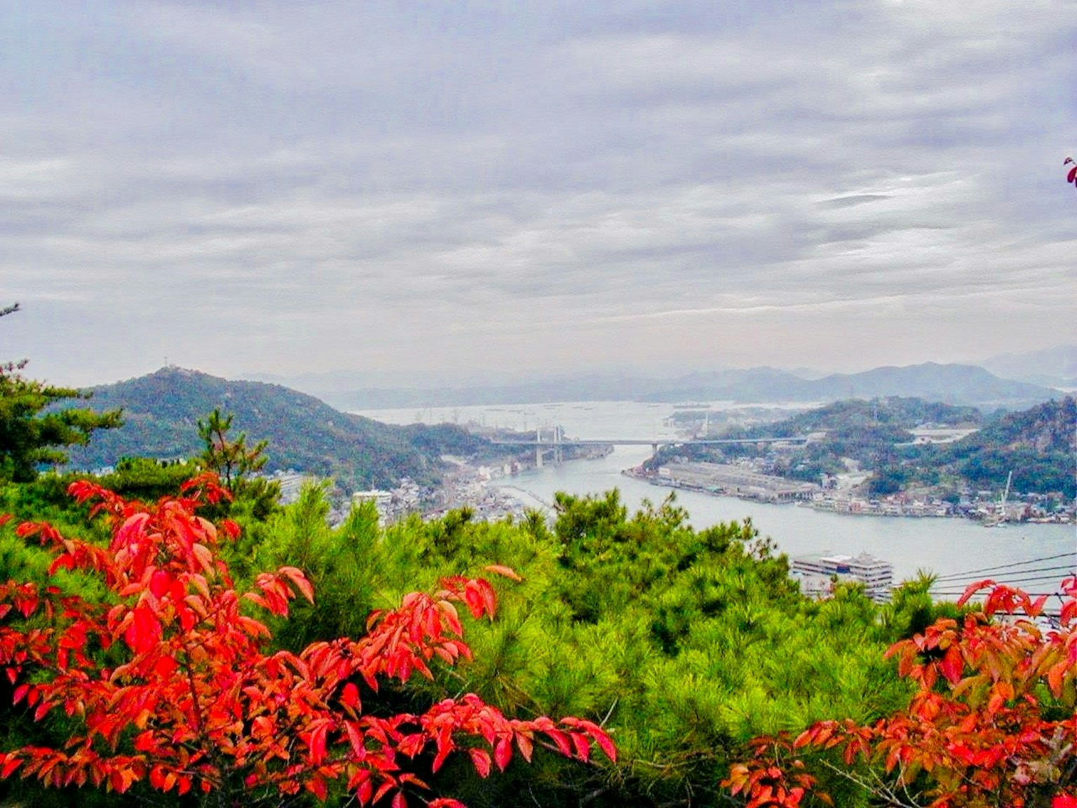秋季葉子和寧靜海洋的風景