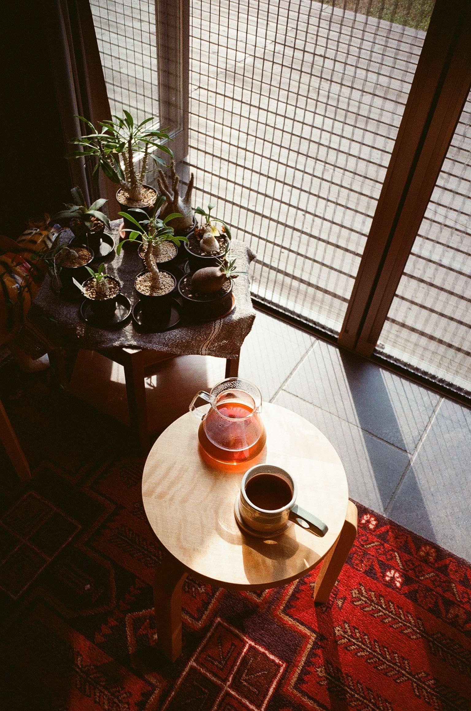 Tasse de café et théière sur une table avec des plantes d'intérieur et des ombres de lumière du soleil