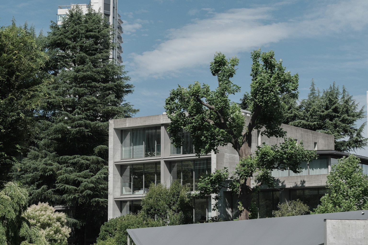 Casa moderna de concreto rodeada de vegetación exuberante