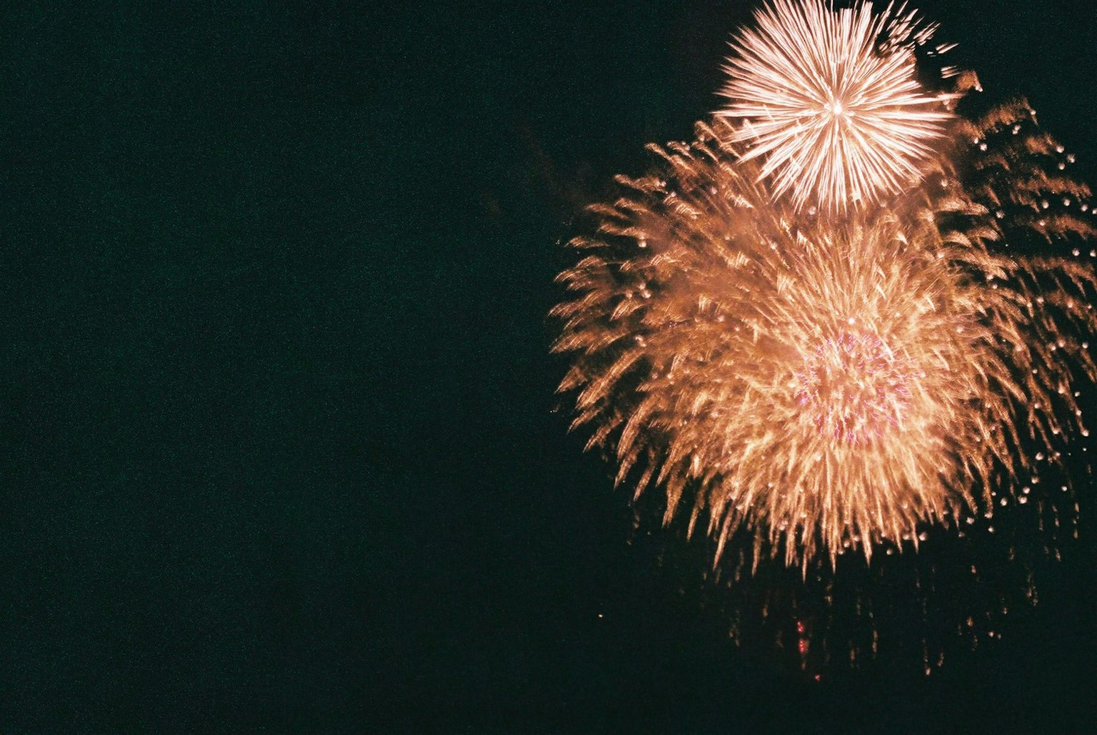 Fireworks display in the night sky two large fireworks bursting brightly