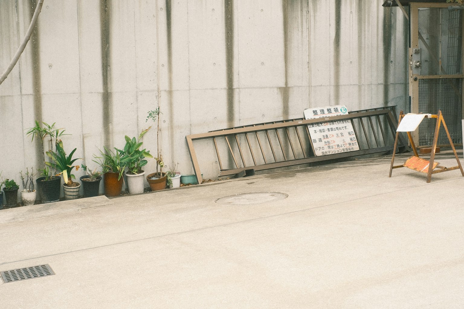 Potted plants lined up in front of a concrete wall with a wooden sign