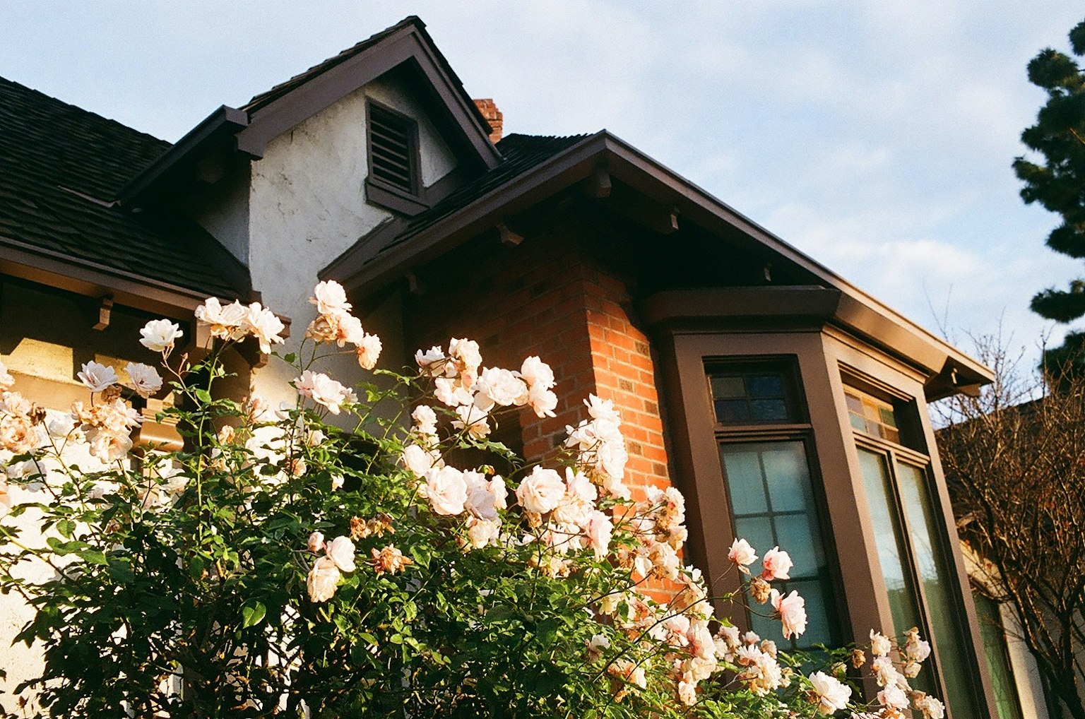 Esterno di casa adornato da rose in fiore e cielo azzurro