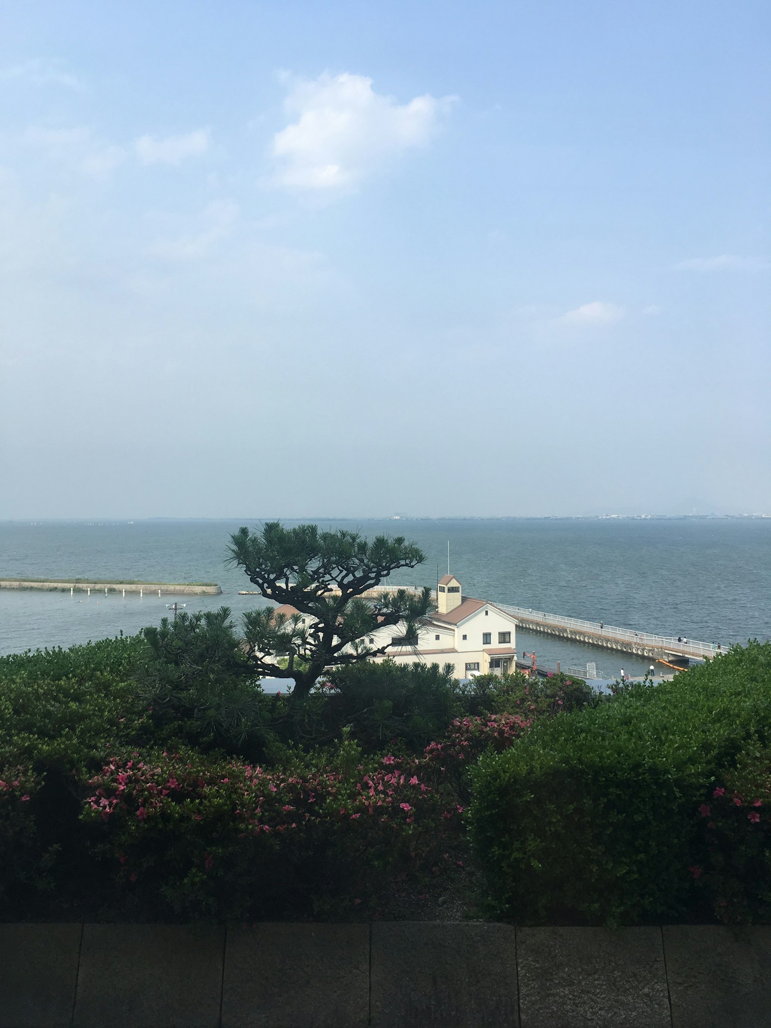 Vista panoramica con un edificio bianco vicino al mare circondato da vegetazione