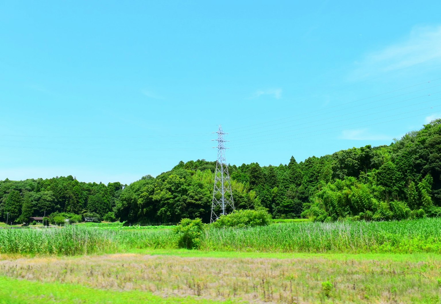 Strommast steht auf einem grünen Feld unter einem blauen Himmel
