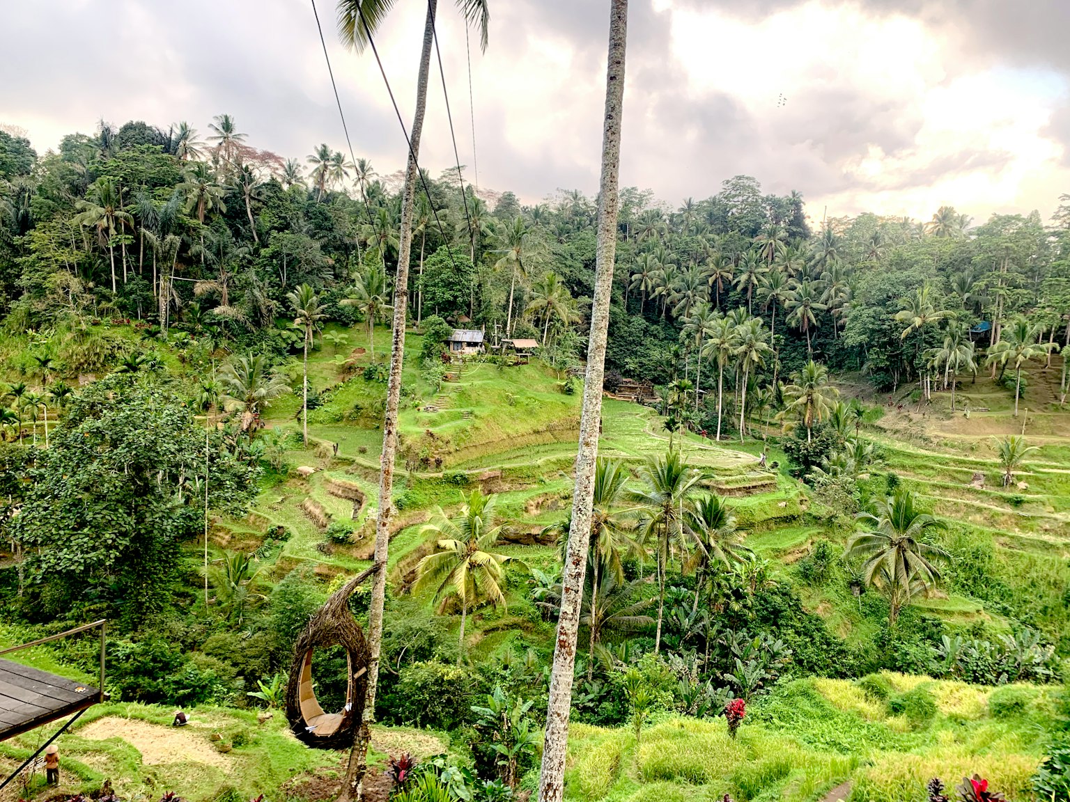 Schöne Reisterrassen und üppiges Grün in Bali