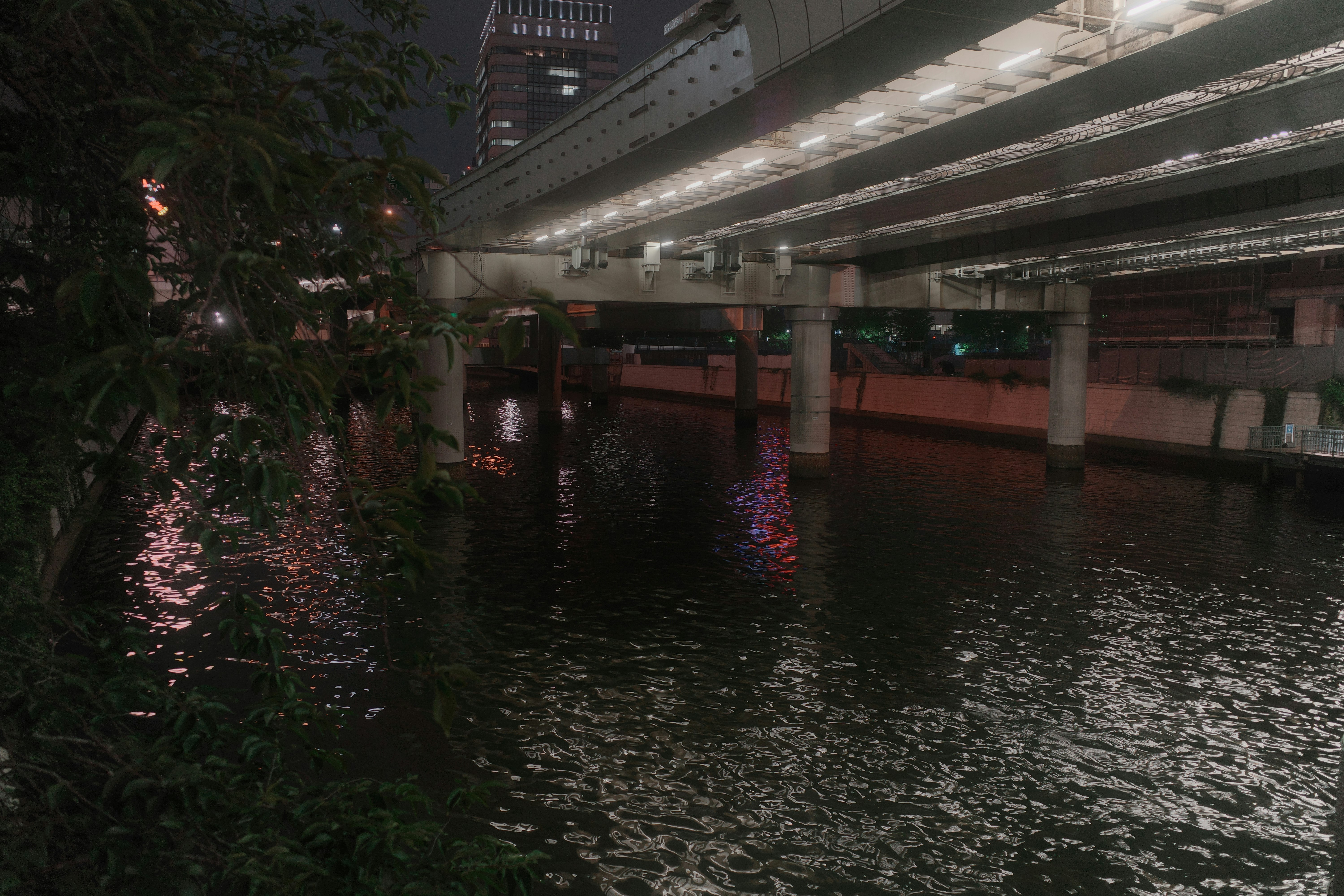 夜の川沿いに並ぶ高架橋と街の灯り