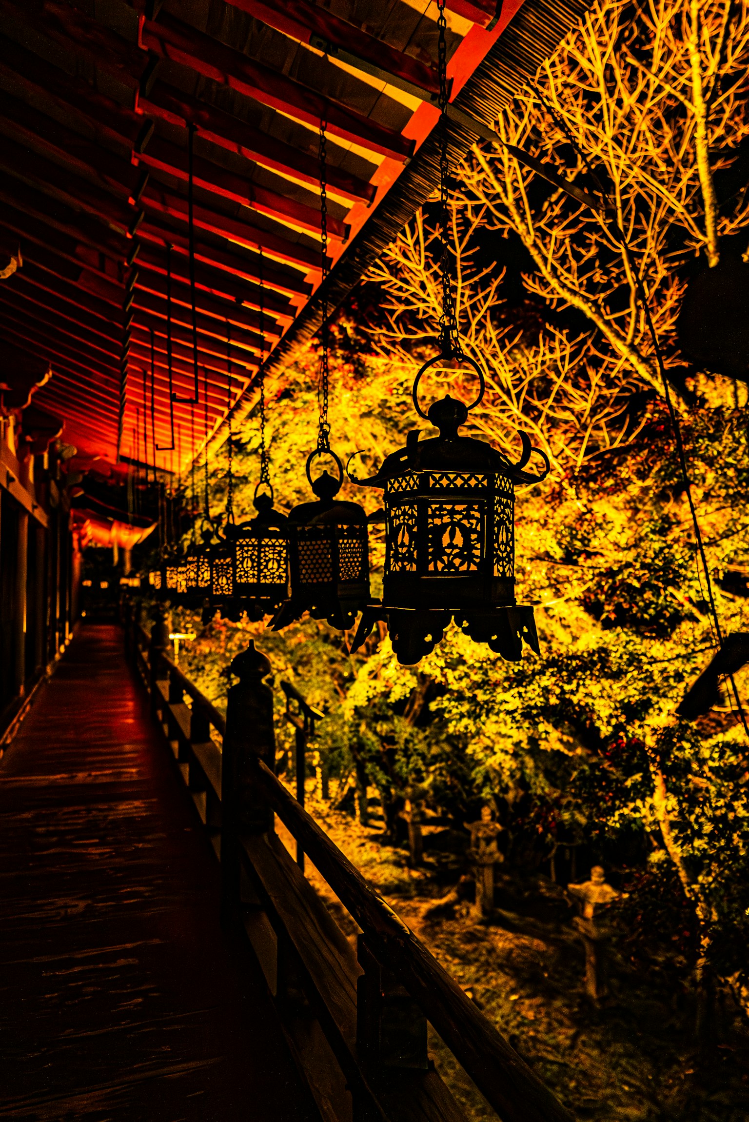 ทางเดินที่มีโคมไฟส่องสว่างและล้อมรอบด้วยพืชสีเขียวสดใสในแสงแดงอบอุ่น