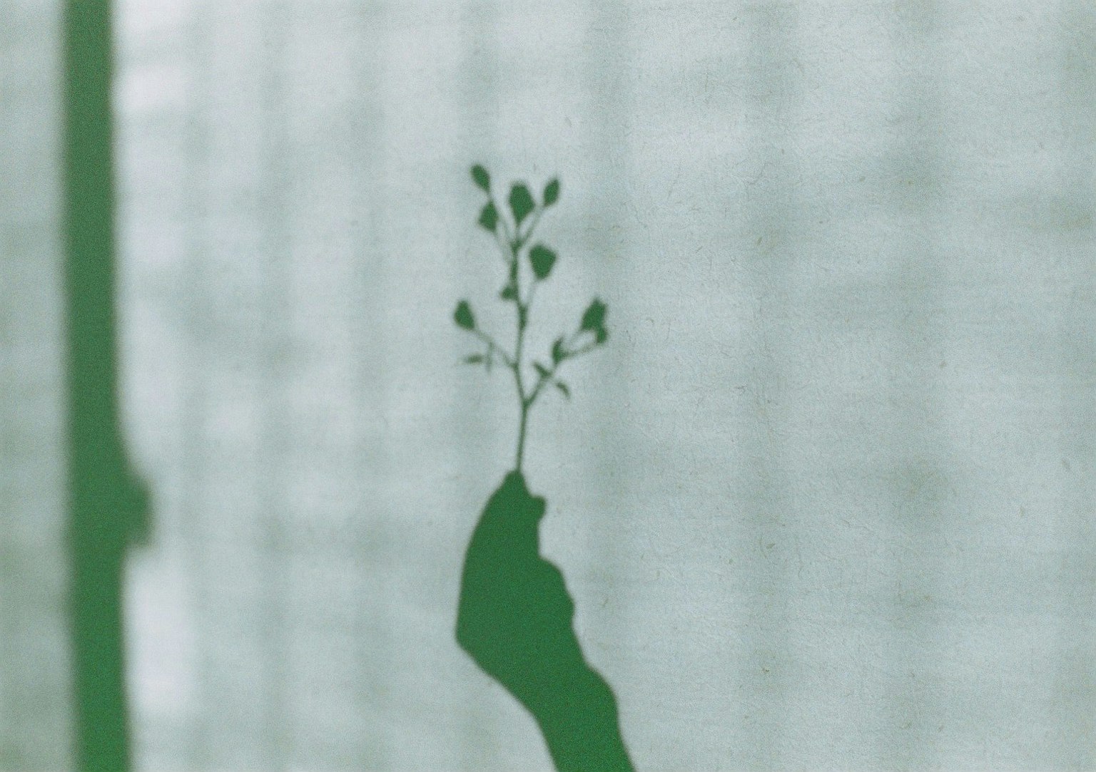 手持小植物的輪廓