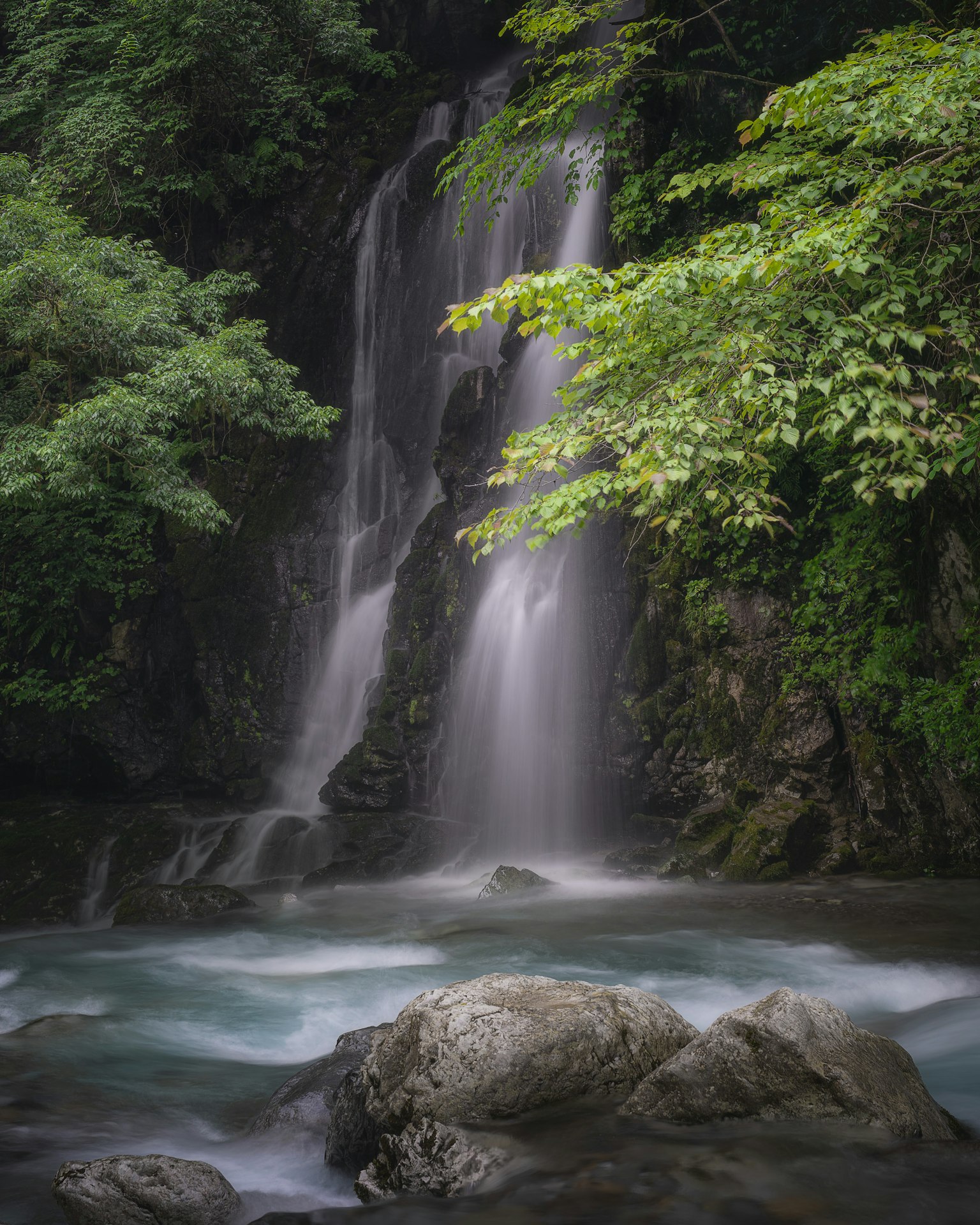 Une belle cascade entourée de verdure luxuriante L'eau s'écoule sur des rochers