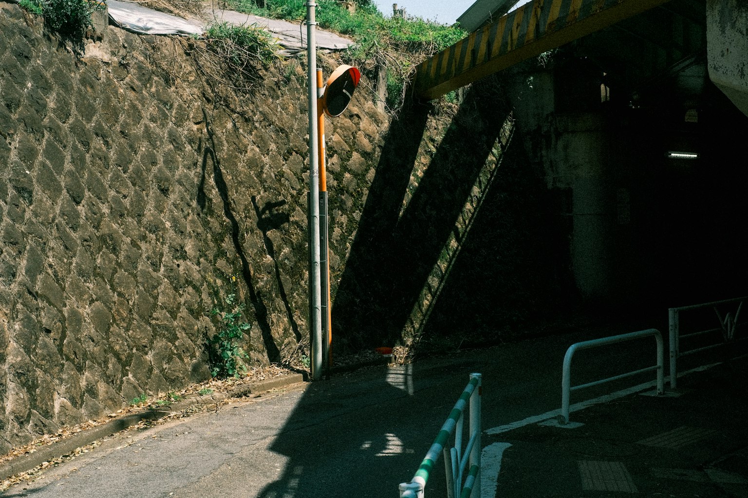 photo-UjmPBVJ2sbNA1aY4RgOW-image