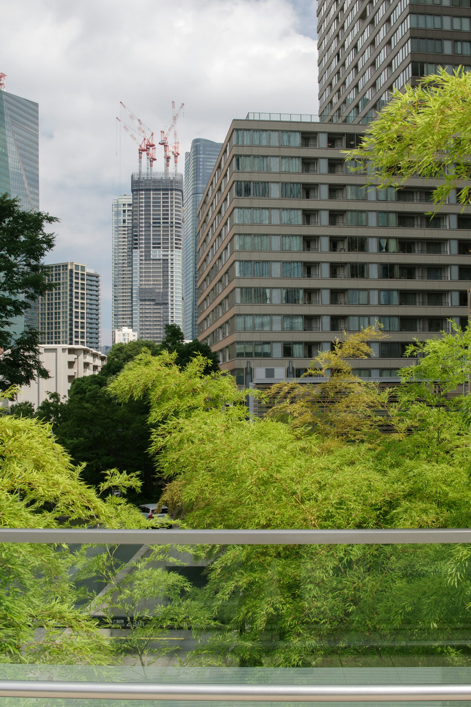 ทิวทัศน์เมืองที่มีตึกระฟ้ากับธรรมชาติที่เขียวขจี