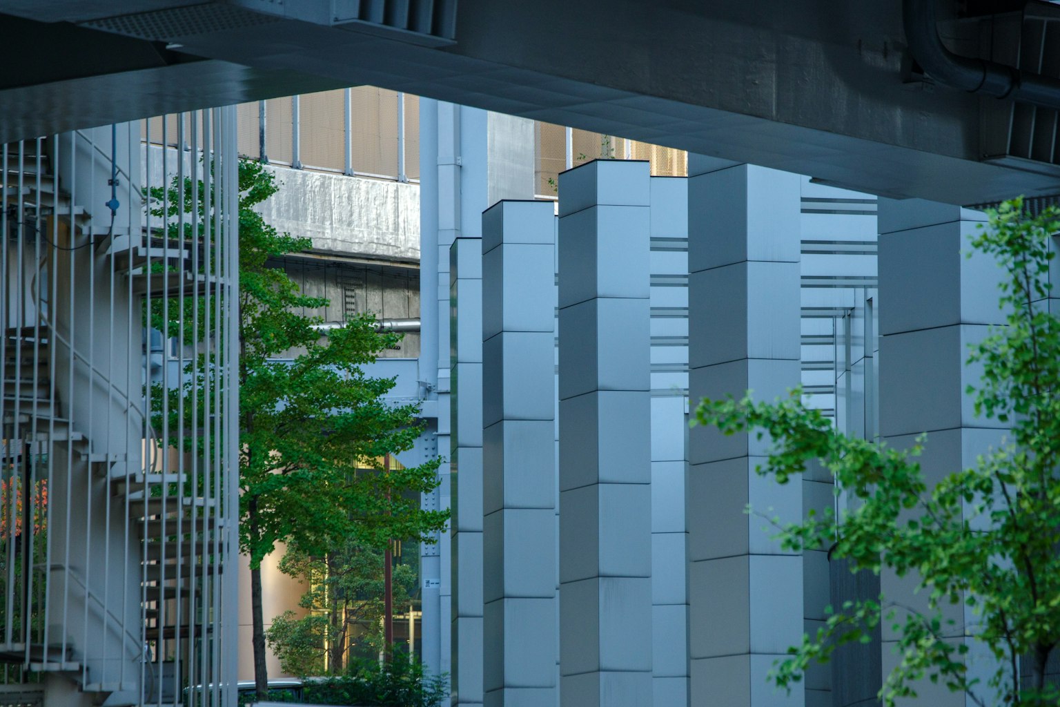现代建筑柱子和绿色树木的城市景观
