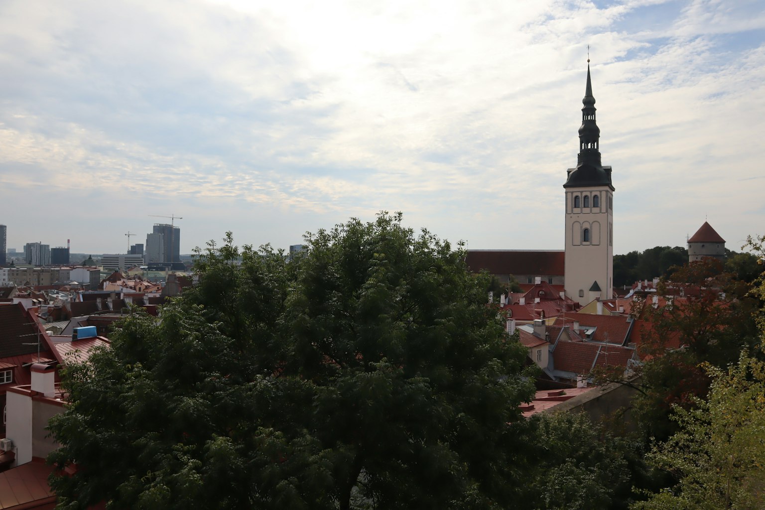 Stadtansicht mit einem hohen Uhrturm und üppigen grünen Bäumen