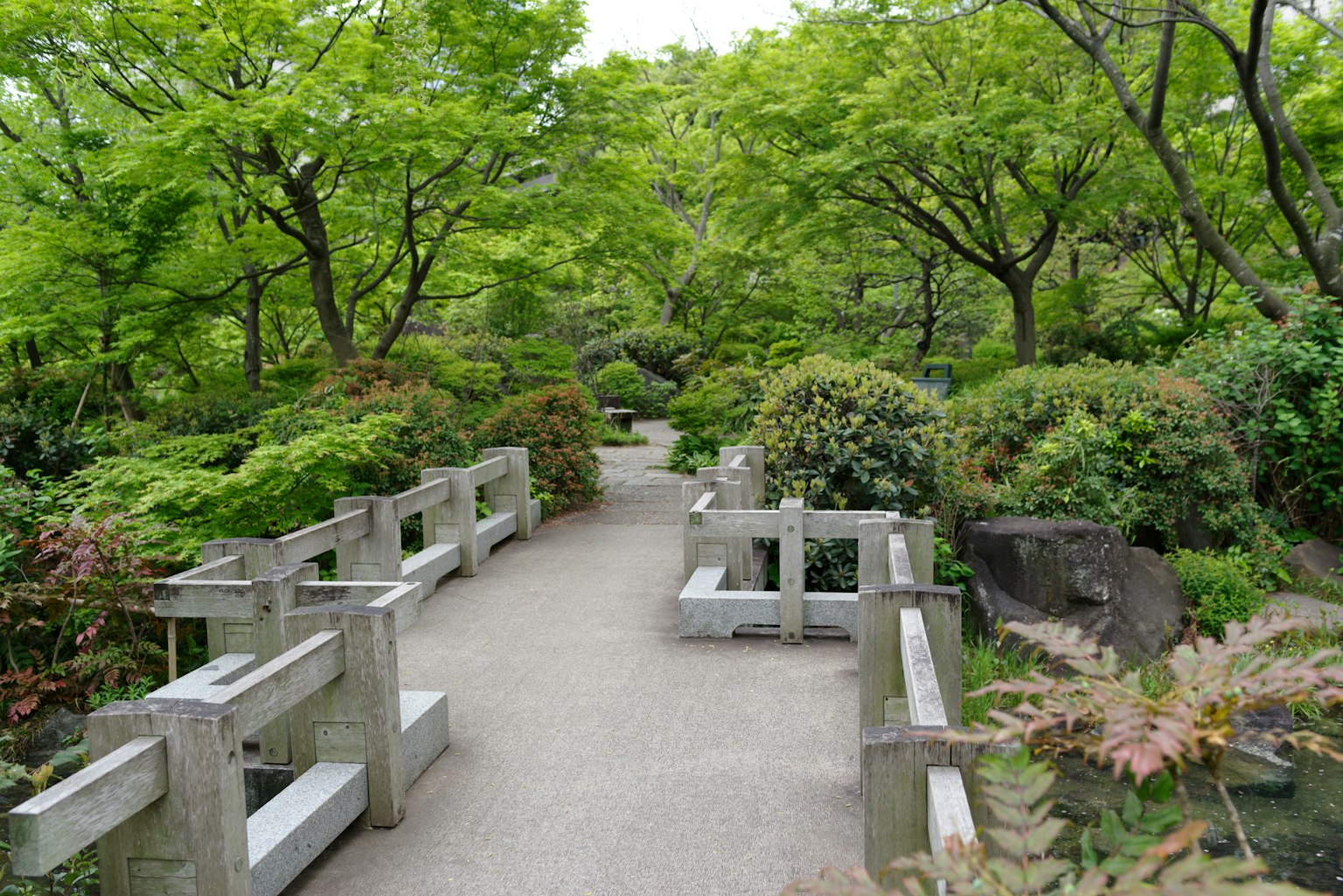 郁郁蔥蔥的花園中的小徑和橋