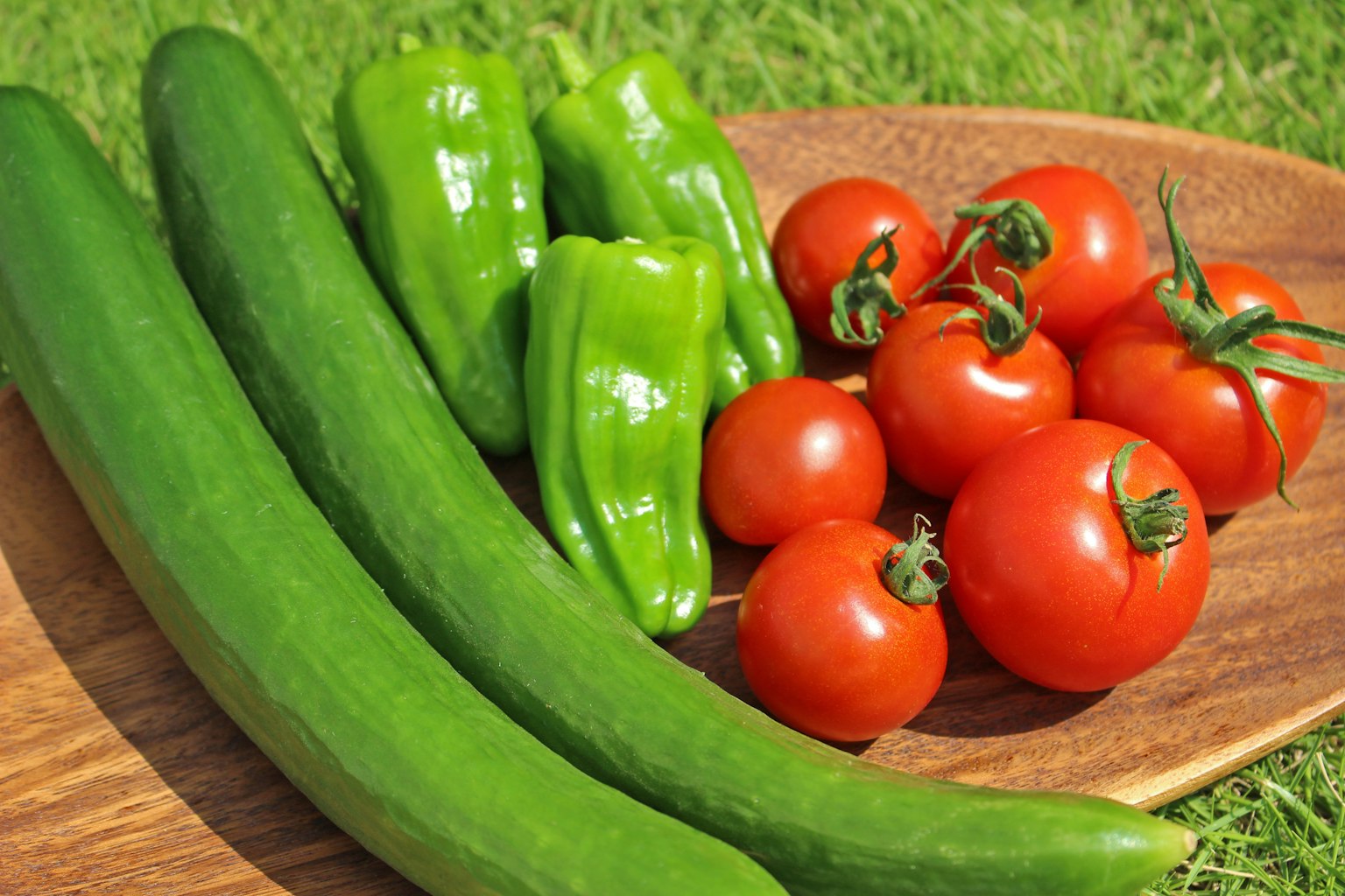 Frische Tomaten, Gurken und grüne Paprika auf einem Holztablett angeordnet