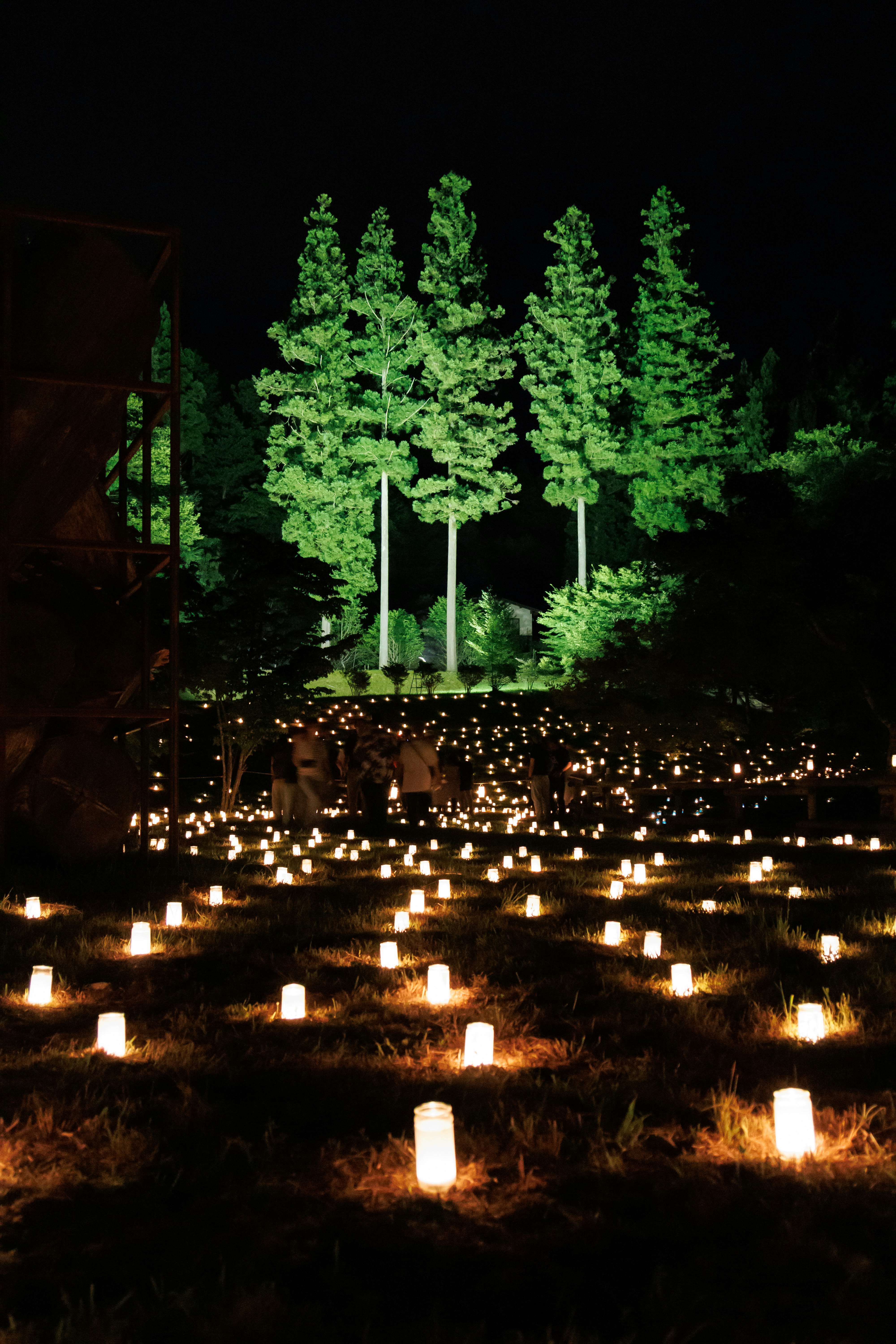 camino de jardín nocturno con velas en fila
