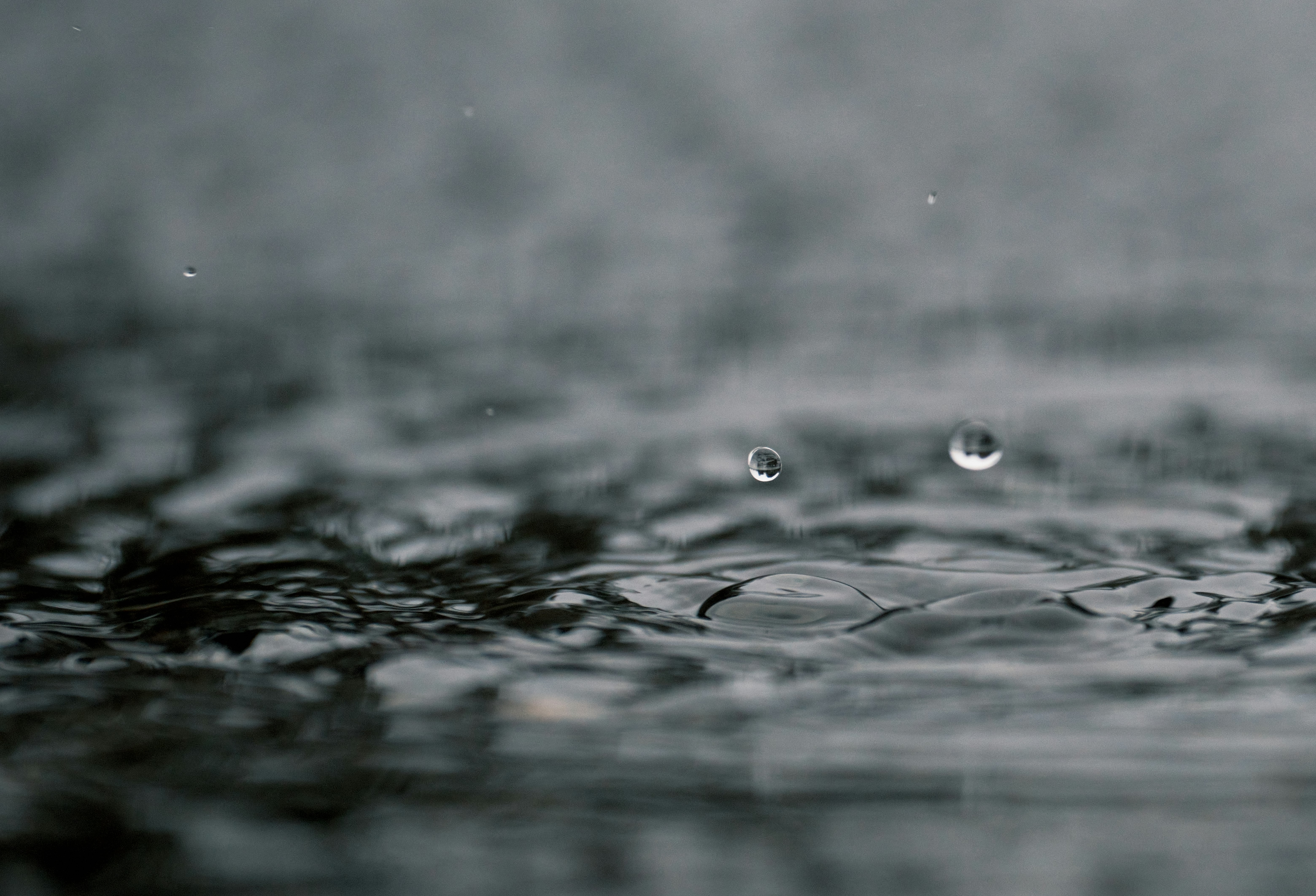 雨水の水たまりに広がる波紋と透明感のある水面