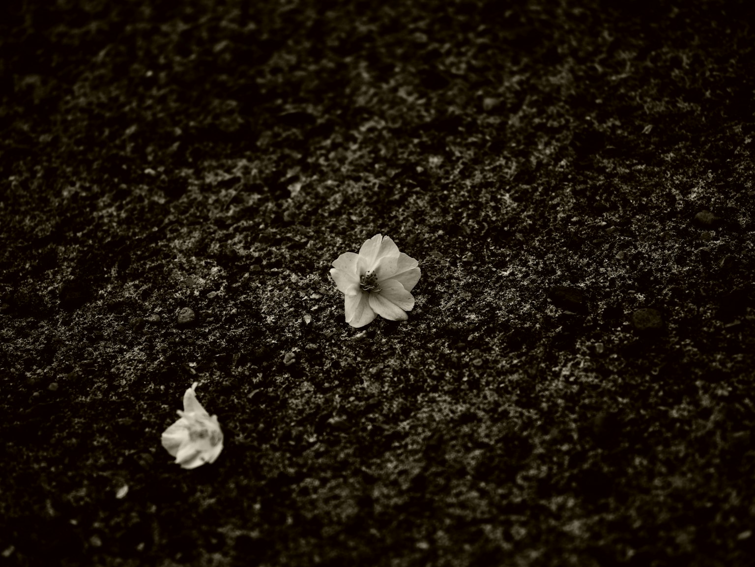 photo-UlSTiRiWo4oV2fMShaGf-image